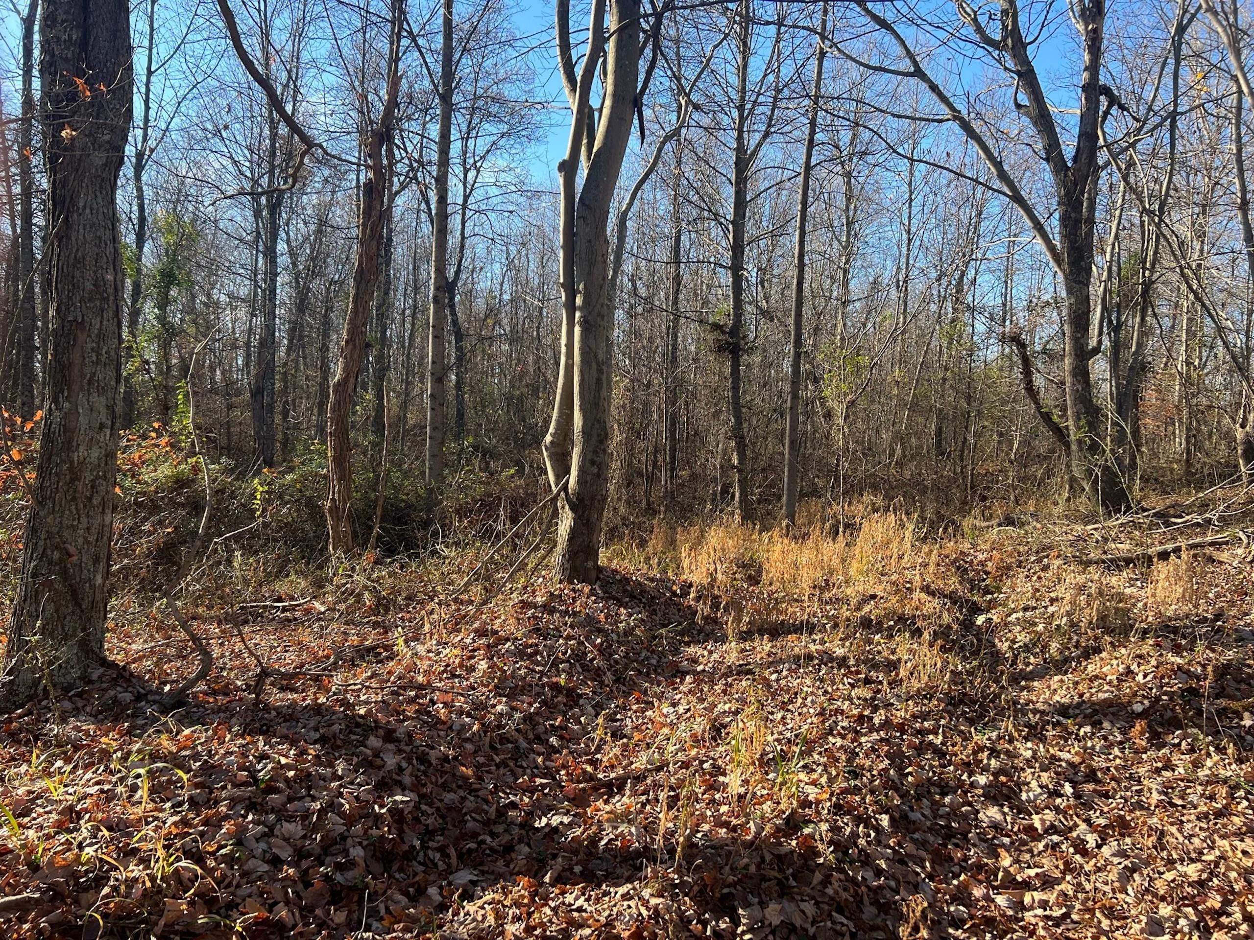 Portsmouth, Scioto County, OH Recreational Property, Timberland