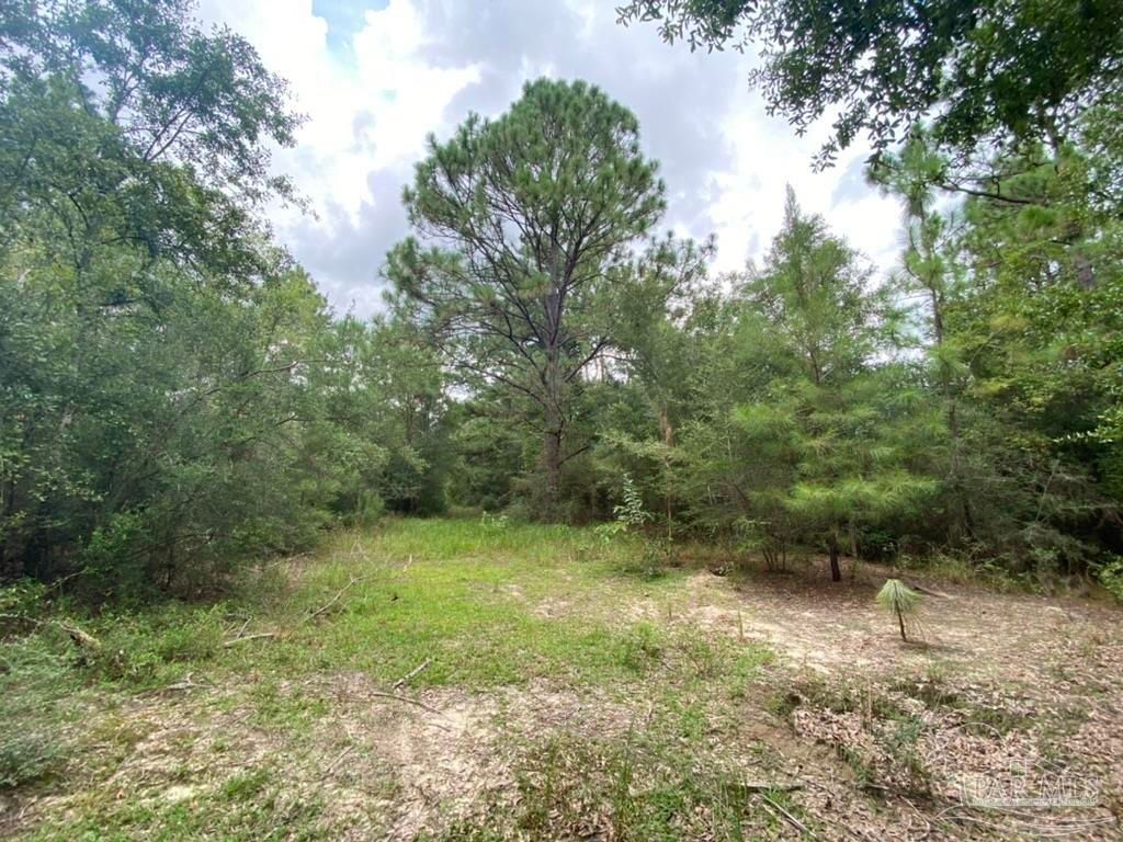 Cantonment, Escambia County, FL for sale Property ID 415330227 LandWatch