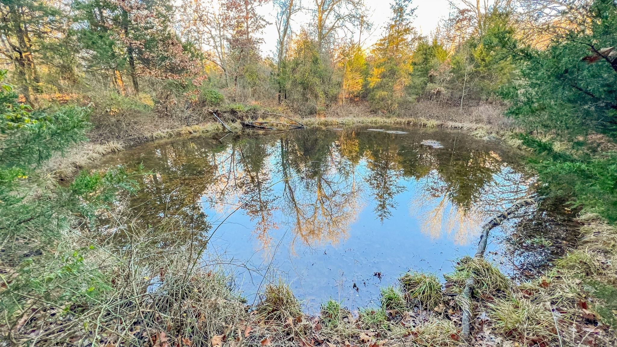 Peace Valley, Howell County, MO Timberland Property, Hunting Property