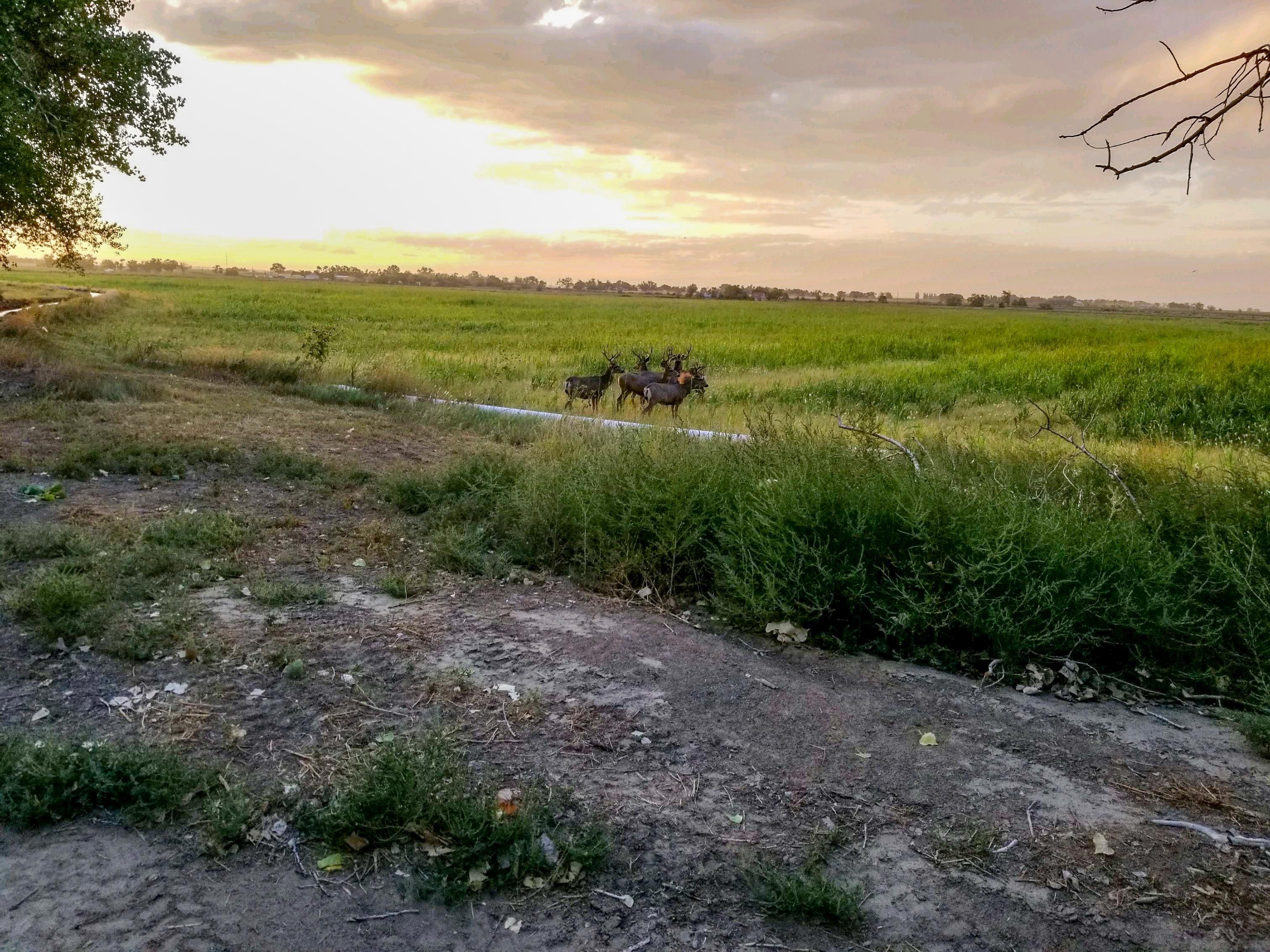 34510 County Rd KK, Cheraw, CO 81030 MLS H209452A LandWatch