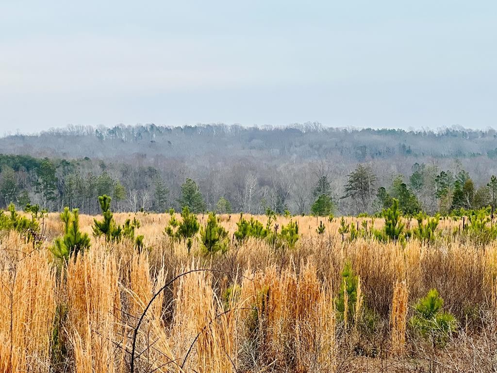Dillwyn, Buckingham County, VA Undeveloped Land for sale Property ID