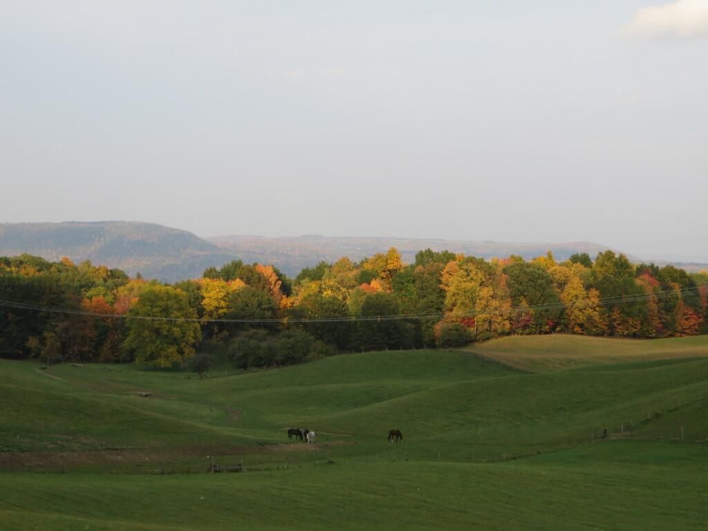 Dansville, Livingston County, NY Farms and Ranches, Homesites for sale Property ID 415464814