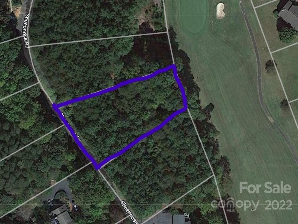 Lake Lure, Rutherford County, NC Farms and Ranches, Lakefront Property