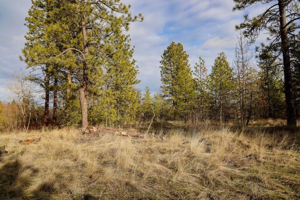 Medical Lake, Spokane County, WA Recreational Property, Undeveloped Land, Homesites for sale