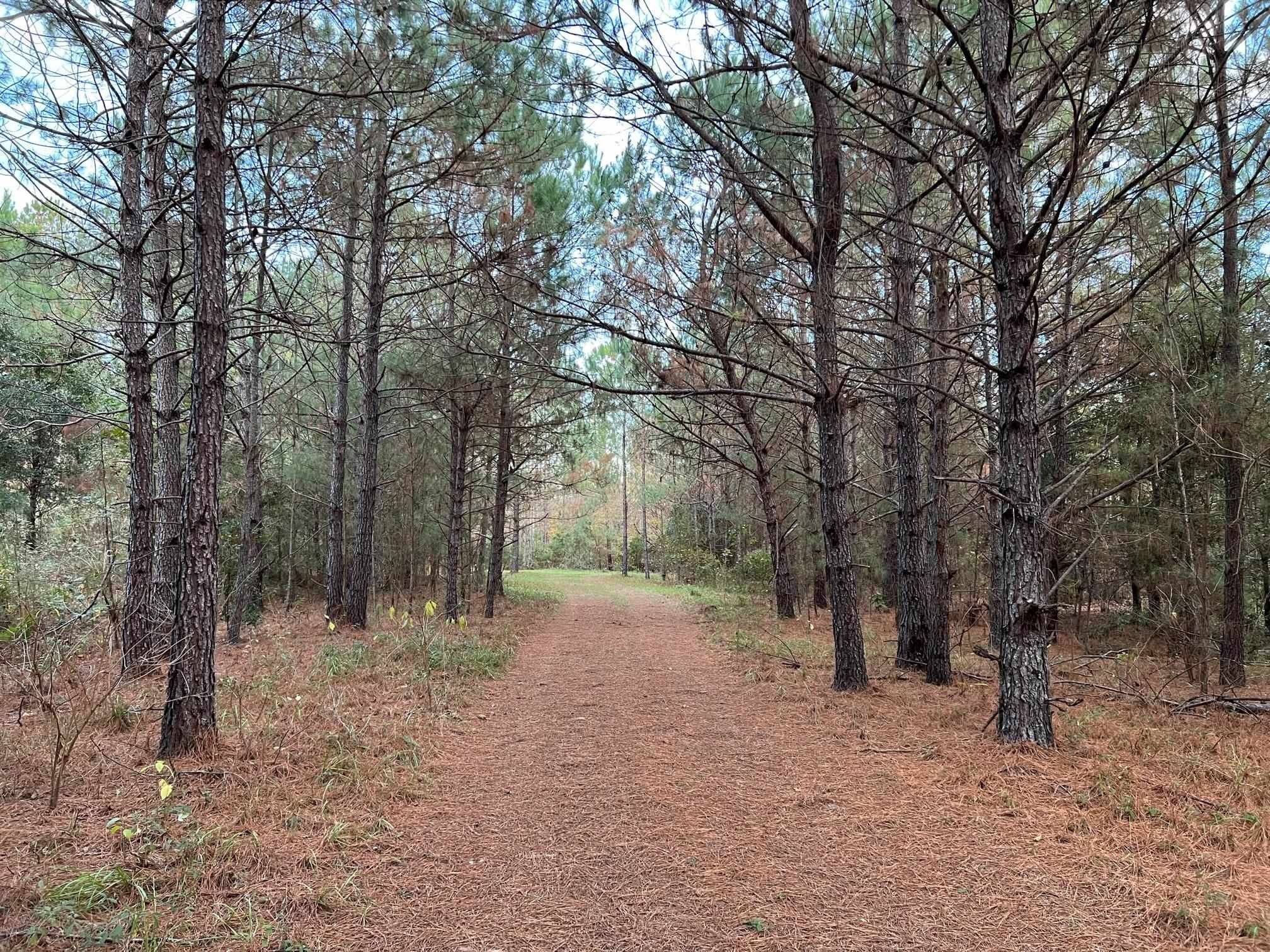 Quincy, Gadsden County, FL Undeveloped Land for sale Property ID