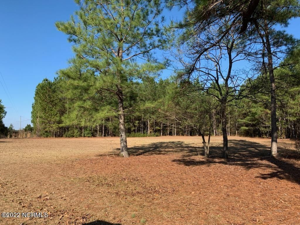 Burgaw, Pender County, NC Undeveloped Land, Lakefront Property