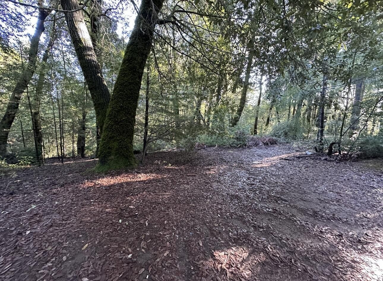 Whitethorn, Humboldt County, CA Undeveloped Land for sale Property ID