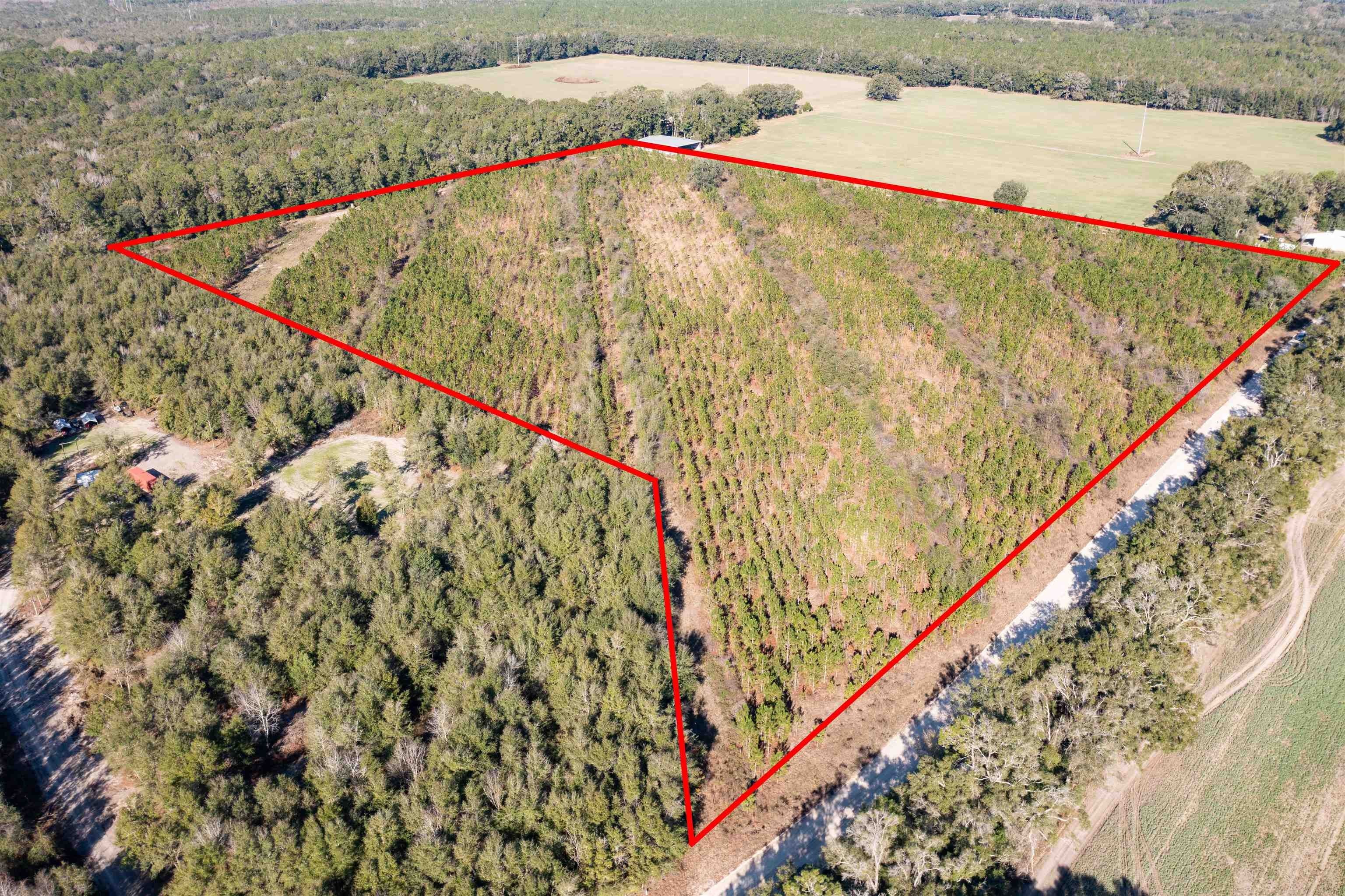 Live Oak, Suwannee County, FL Undeveloped Land for sale Property ID