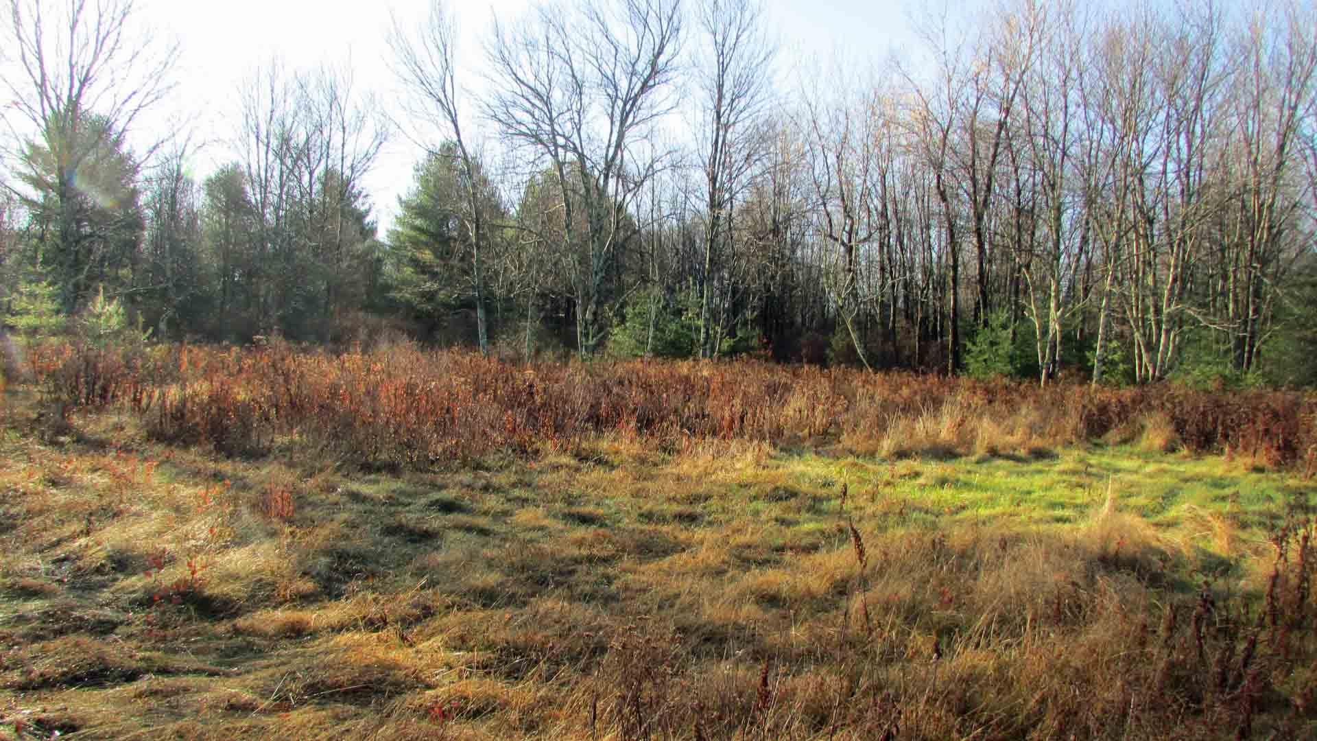 Monticello, Sullivan County, NY Recreational Property, Undeveloped Land