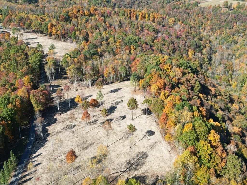 Gainesboro, Jackson County, TN Undeveloped Land, Lakefront Property