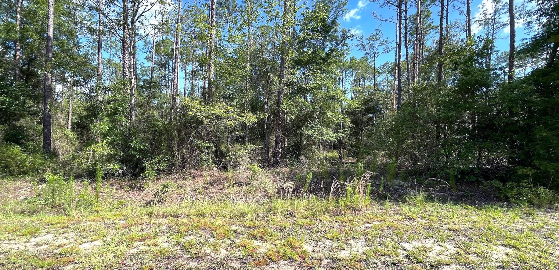 SW Barnacle Dr, Dunnellon, FL 34431 MLS 1812016014 LandWatch