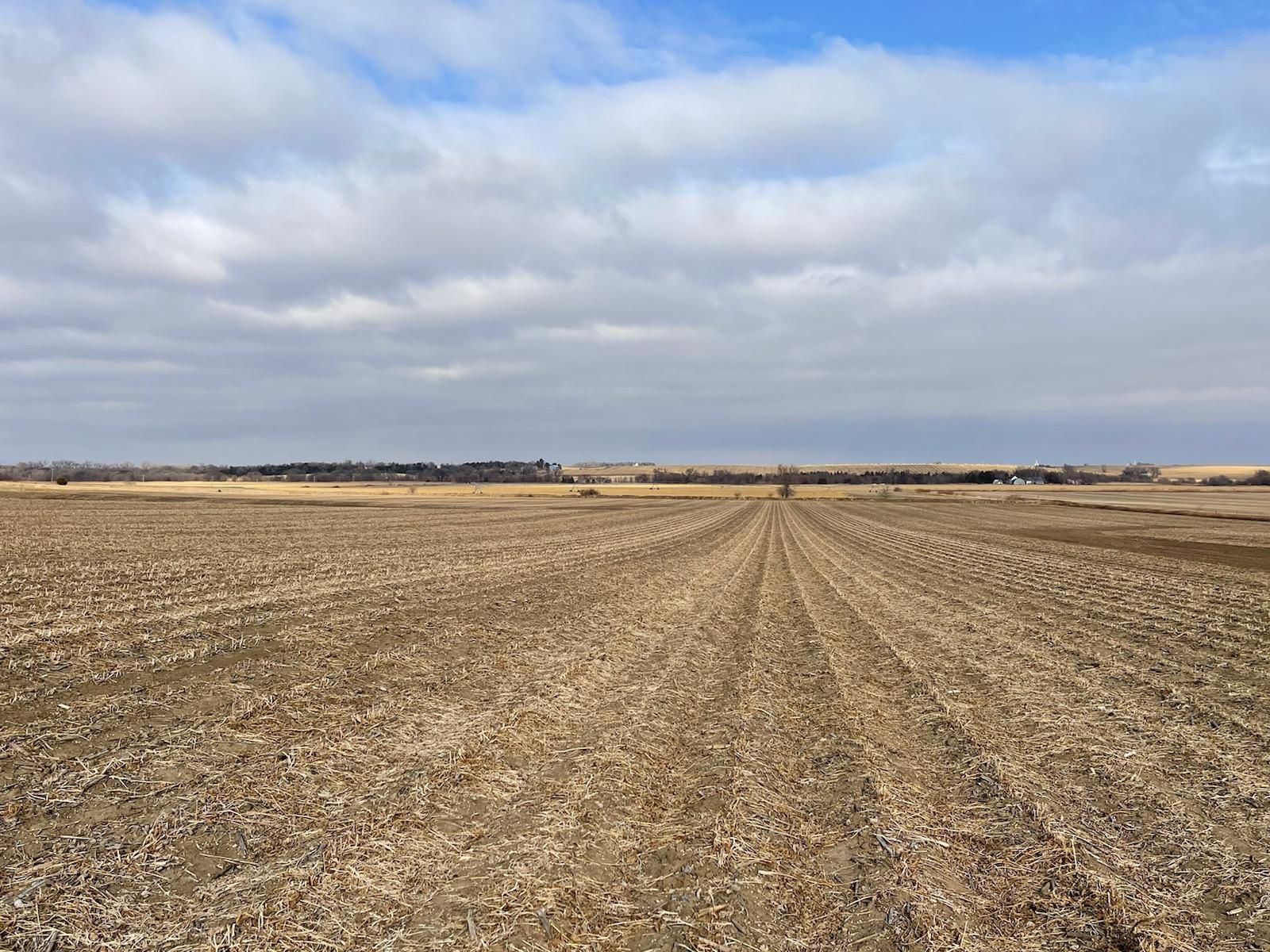 Shelby, Polk County, NE Farms and Ranches for sale Property ID 415473491 LandWatch