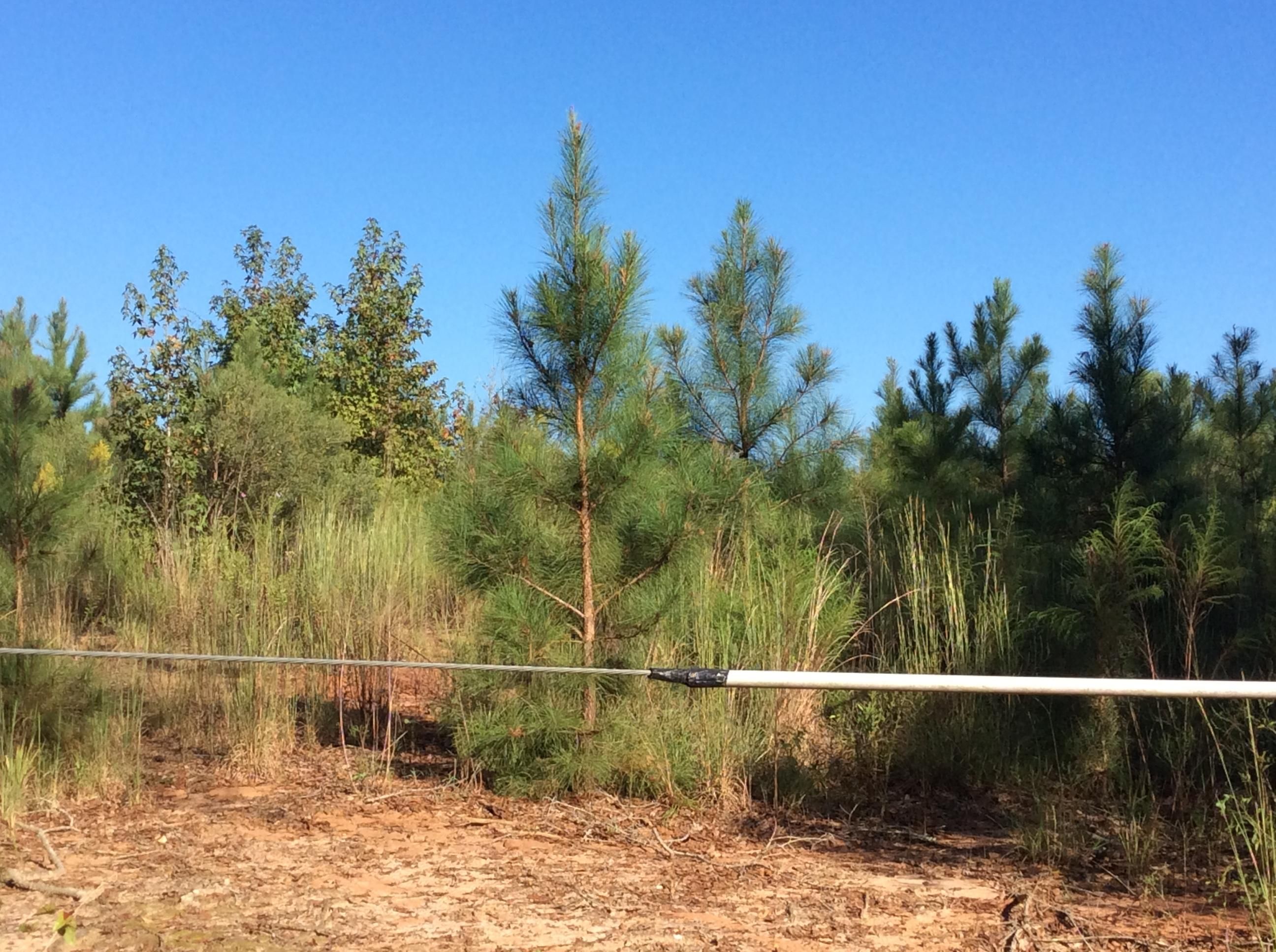 Luverne, Crenshaw County, AL Hunting Property, Homesites for sale