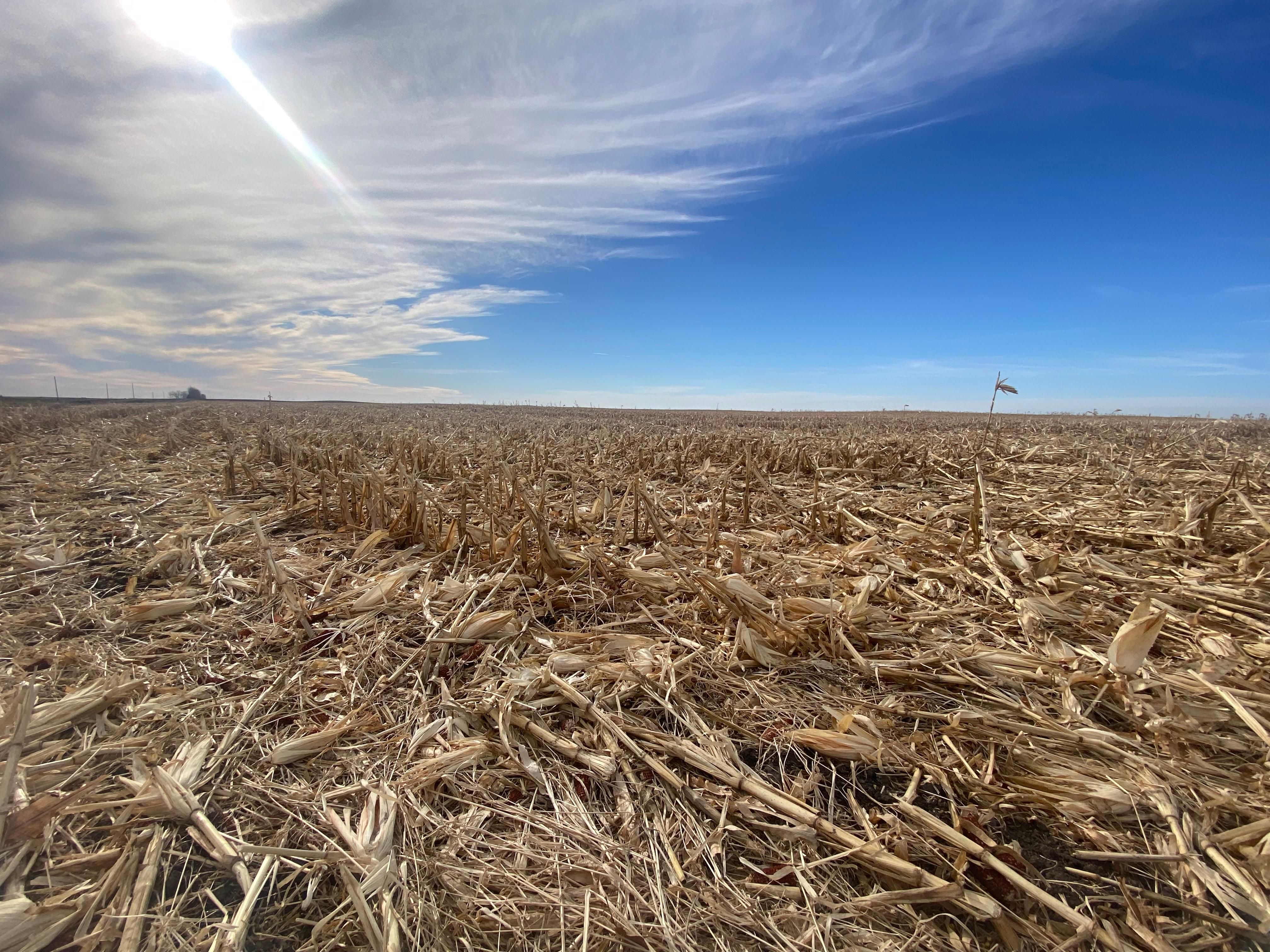 Glenfield, Foster County, ND Farms and Ranches for auction Property ID