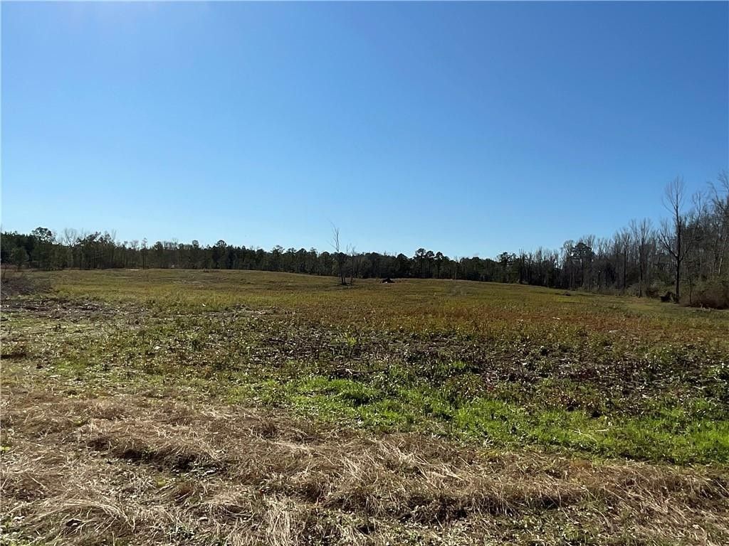 Opelika, Lee County, AL Undeveloped Land for sale Property ID