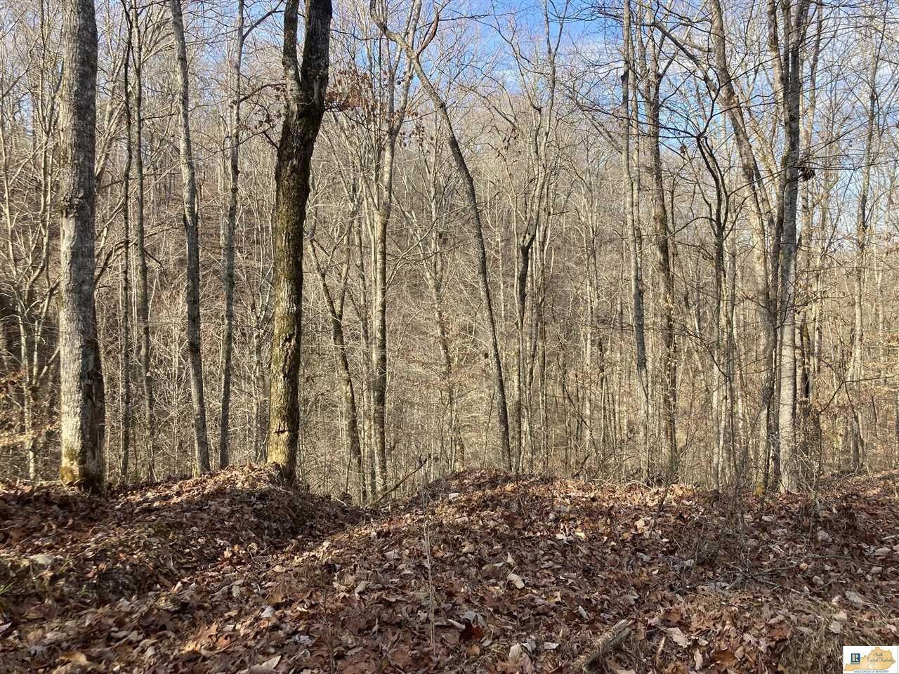 Marrowbone, Cumberland County, KY Undeveloped Land, Lakefront Property, Waterfront Property for