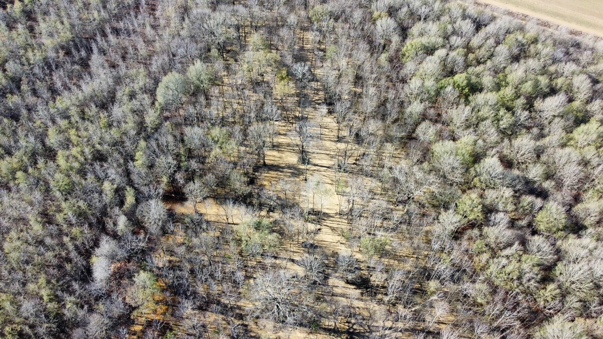 Silver City, Humphreys County, MS Recreational Property, Timberland