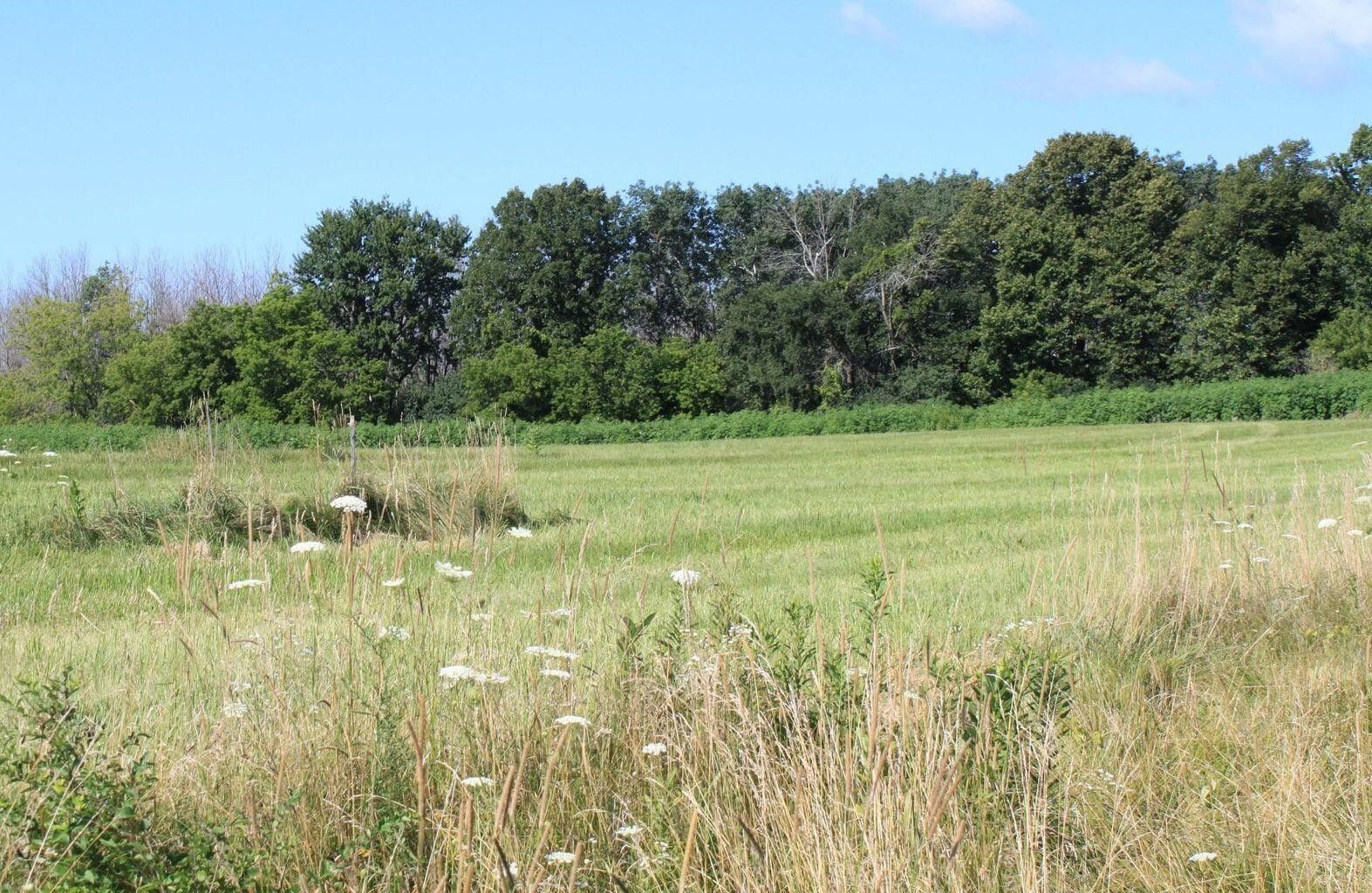 Cedarburg, Ozaukee County, WI Undeveloped Land, Homesites for sale Property ID 415478154