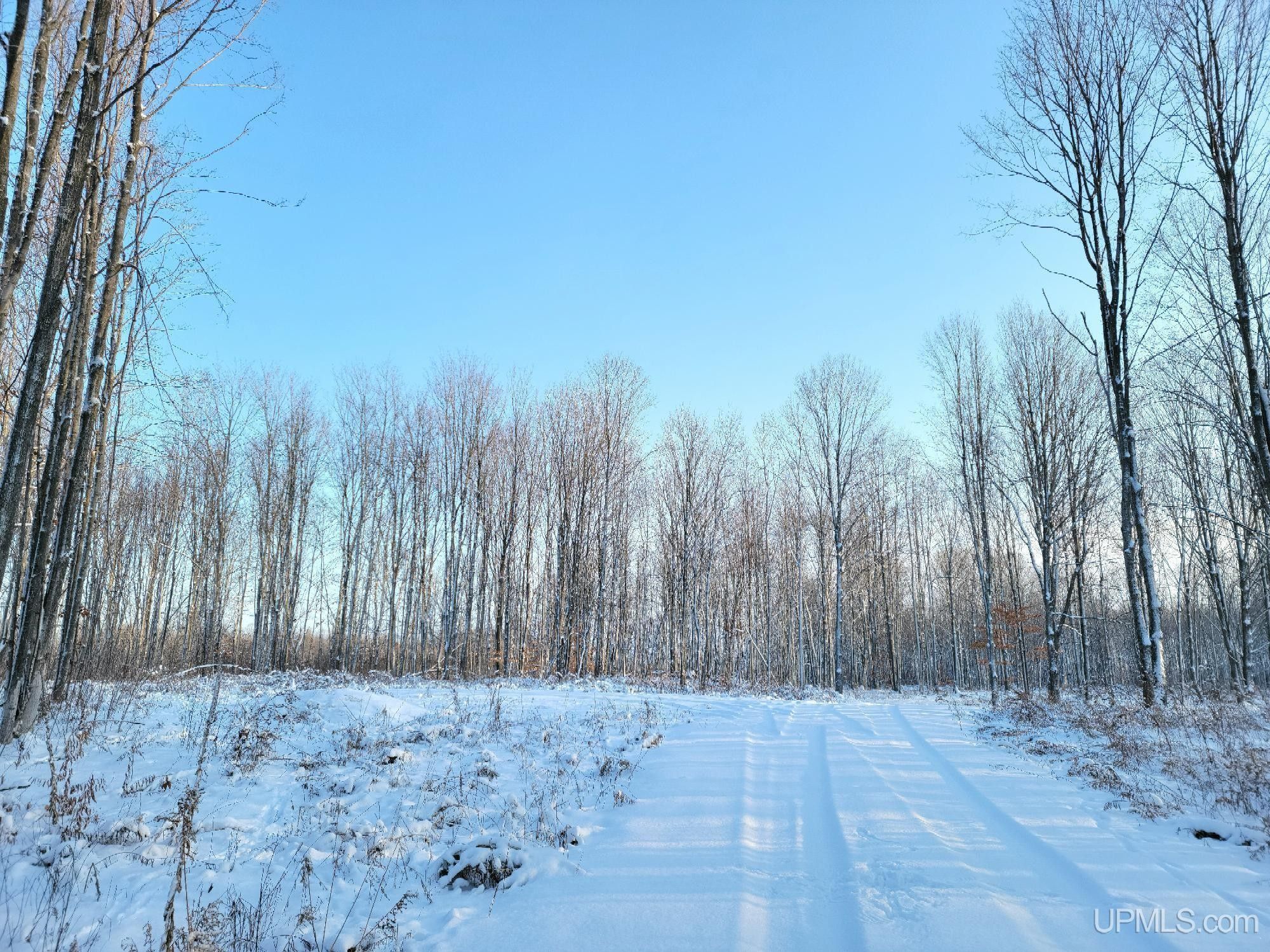Cooks, Schoolcraft County, MI Undeveloped Land for sale Property ID