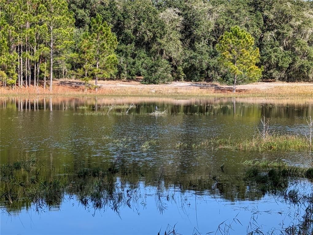 Ocklawaha, Marion County, FL Farms and Ranches, Lakefront Property