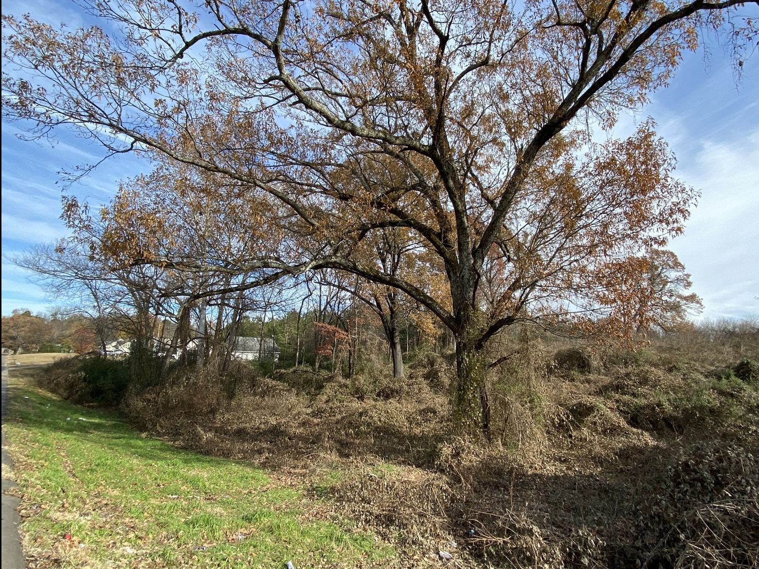 Holly Springs, Marshall County, MS Undeveloped Land, Commercial