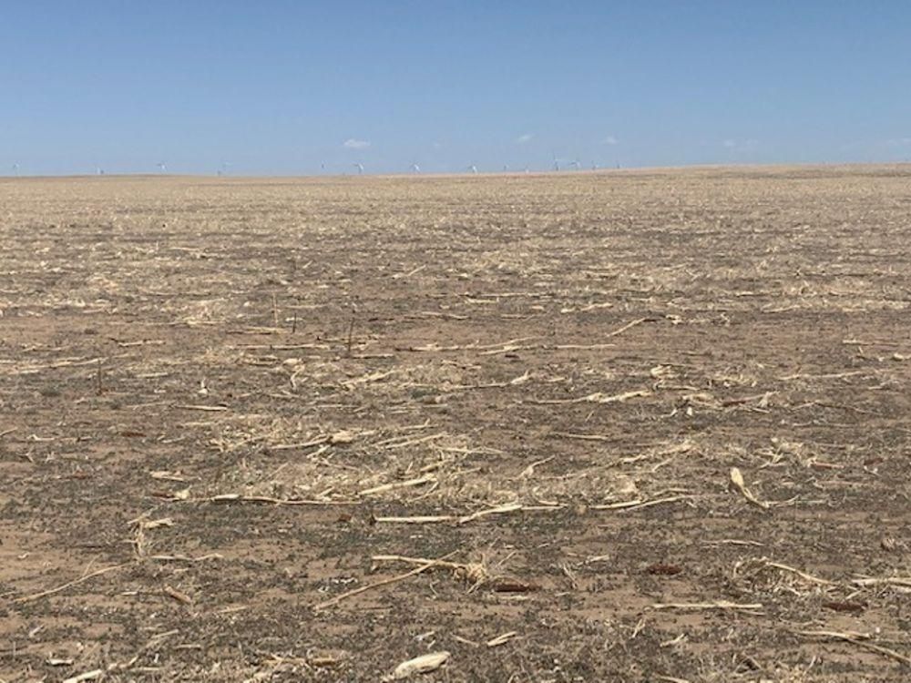 Simla, Elbert County, CO Farms and Ranches, Undeveloped Land for sale