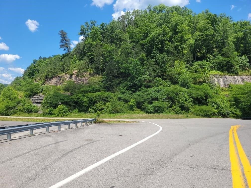 Crum, Wayne County, WV Undeveloped Land for sale Property ID 415480585 LandWatch