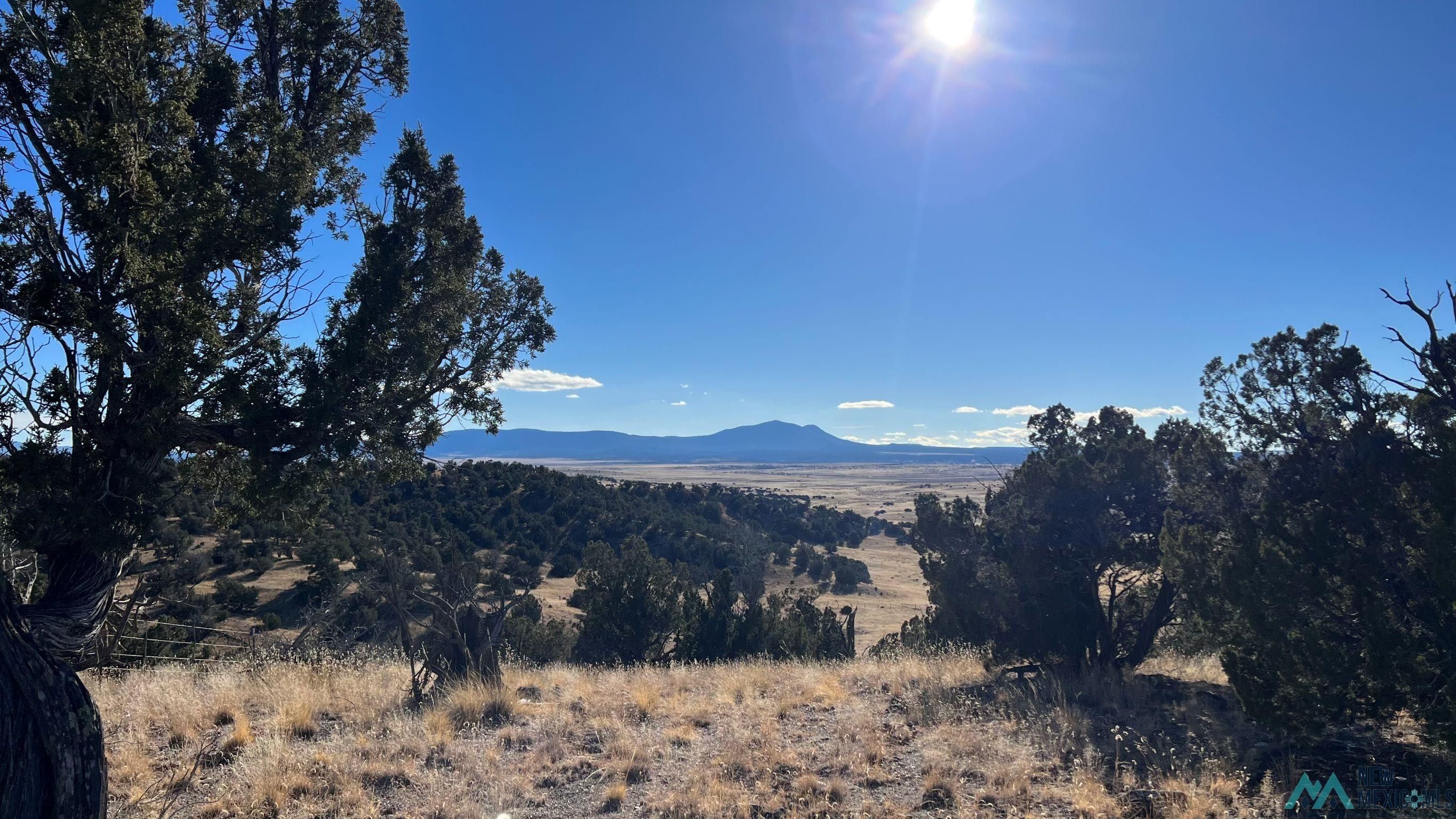 Quemado, Catron County, NM Recreational Property, Undeveloped Land for