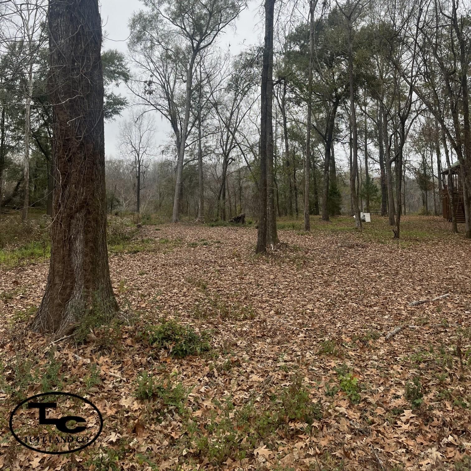 1 acres in Selma, AL, 36701 LandWatch