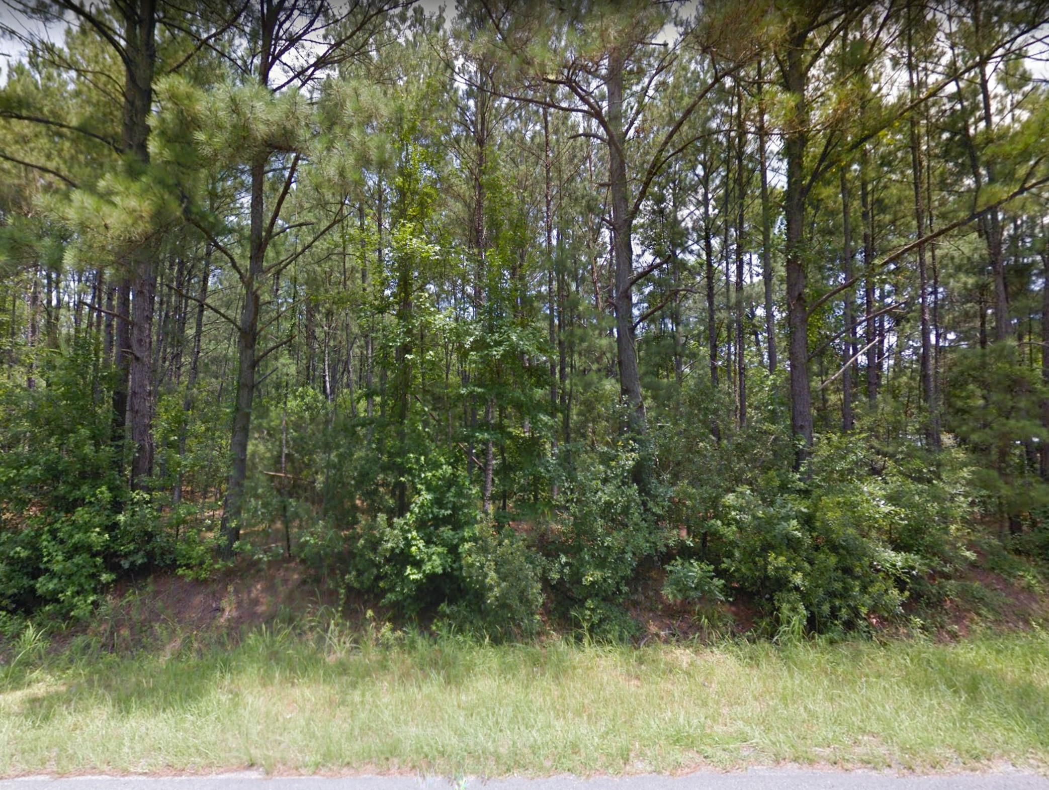 Clover Hill Road, Green Pond, SC 29446 LandWatch