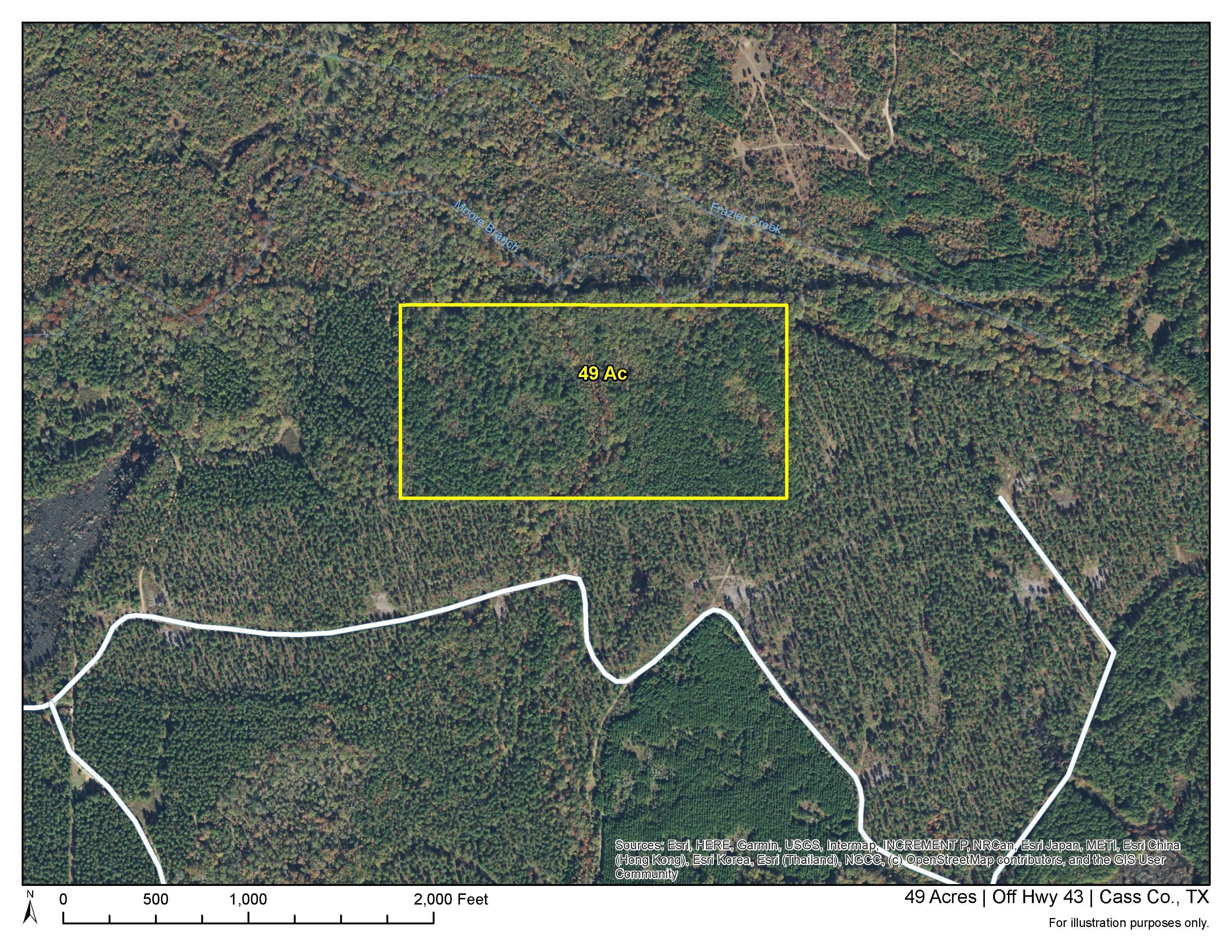 Bivins, Cass County, TX Recreational Property, Undeveloped Land, Hunting Property for sale