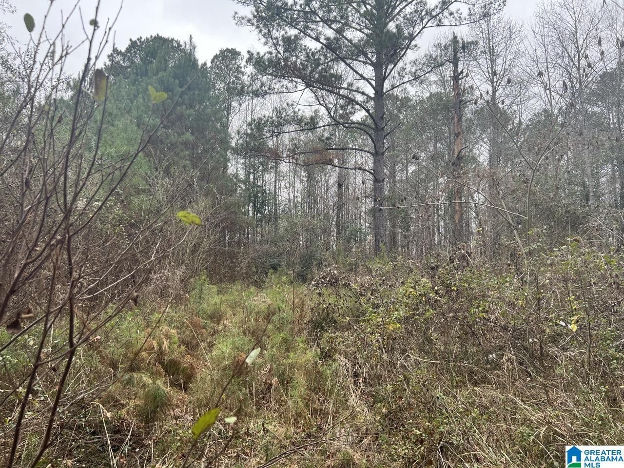 Maplesville, Chilton County, AL Farms and Ranches, Homesites for sale