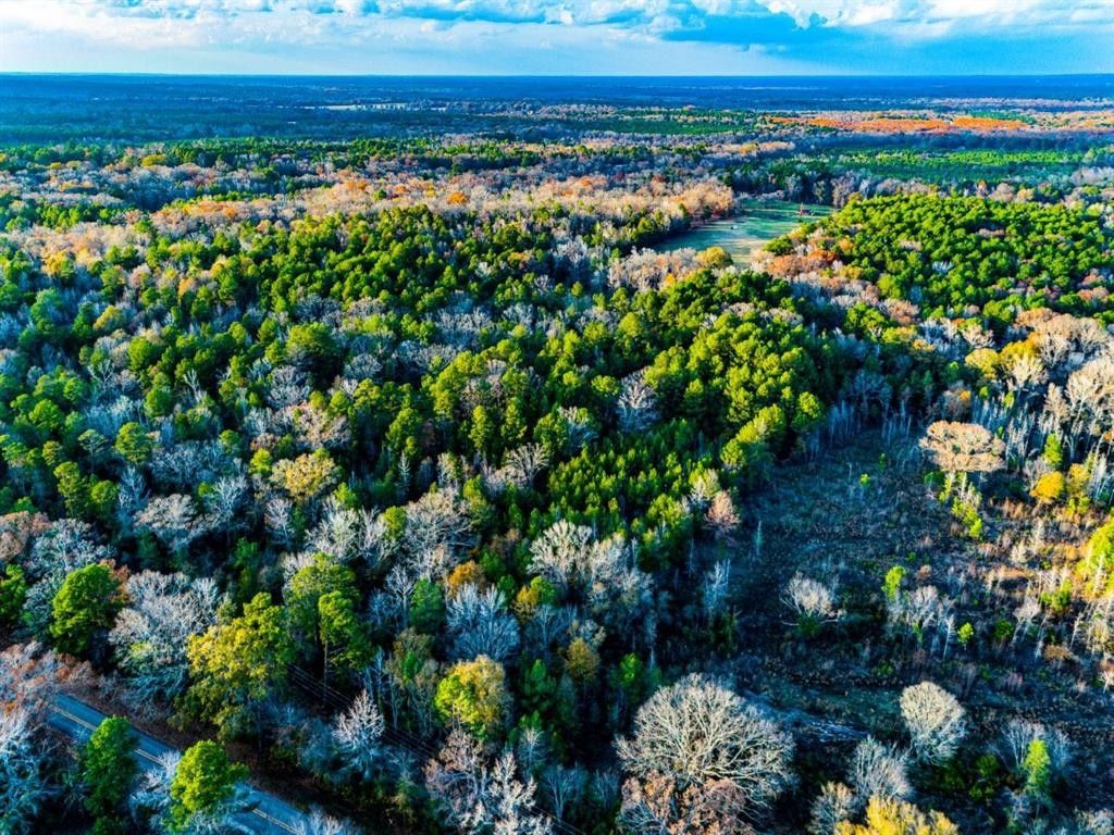 Mineola, Wood County, TX Undeveloped Land, Homesites for sale Property