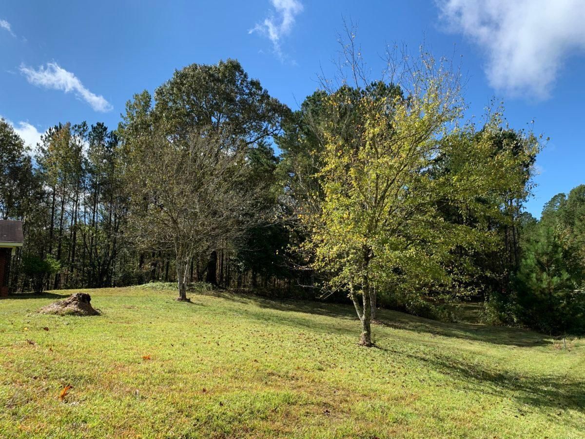 Jackson, Choctaw County, MS Farms and Ranches, Homesites for sale