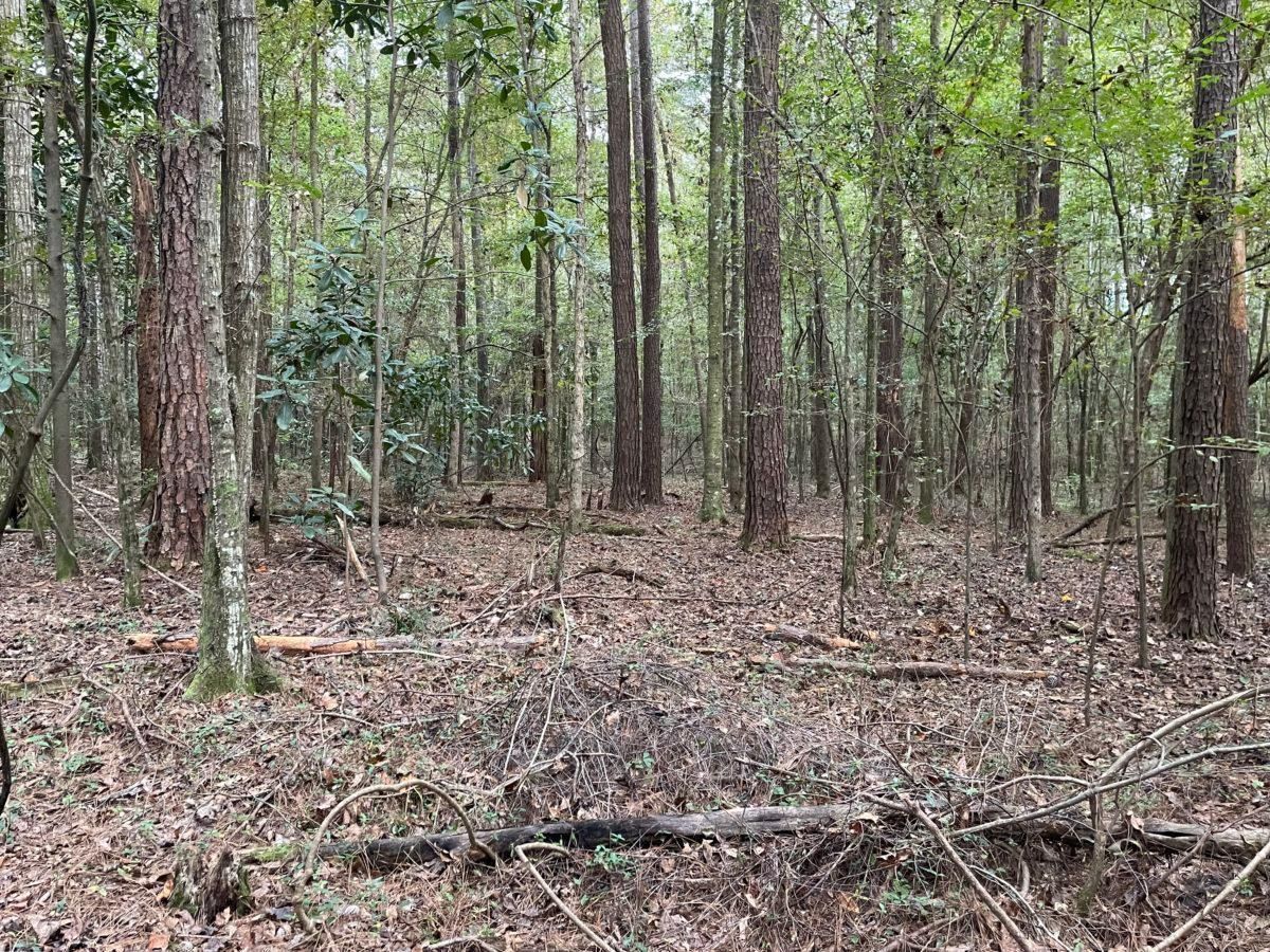 Jackson, Jasper County, MS Farms and Ranches, Homesites for sale
