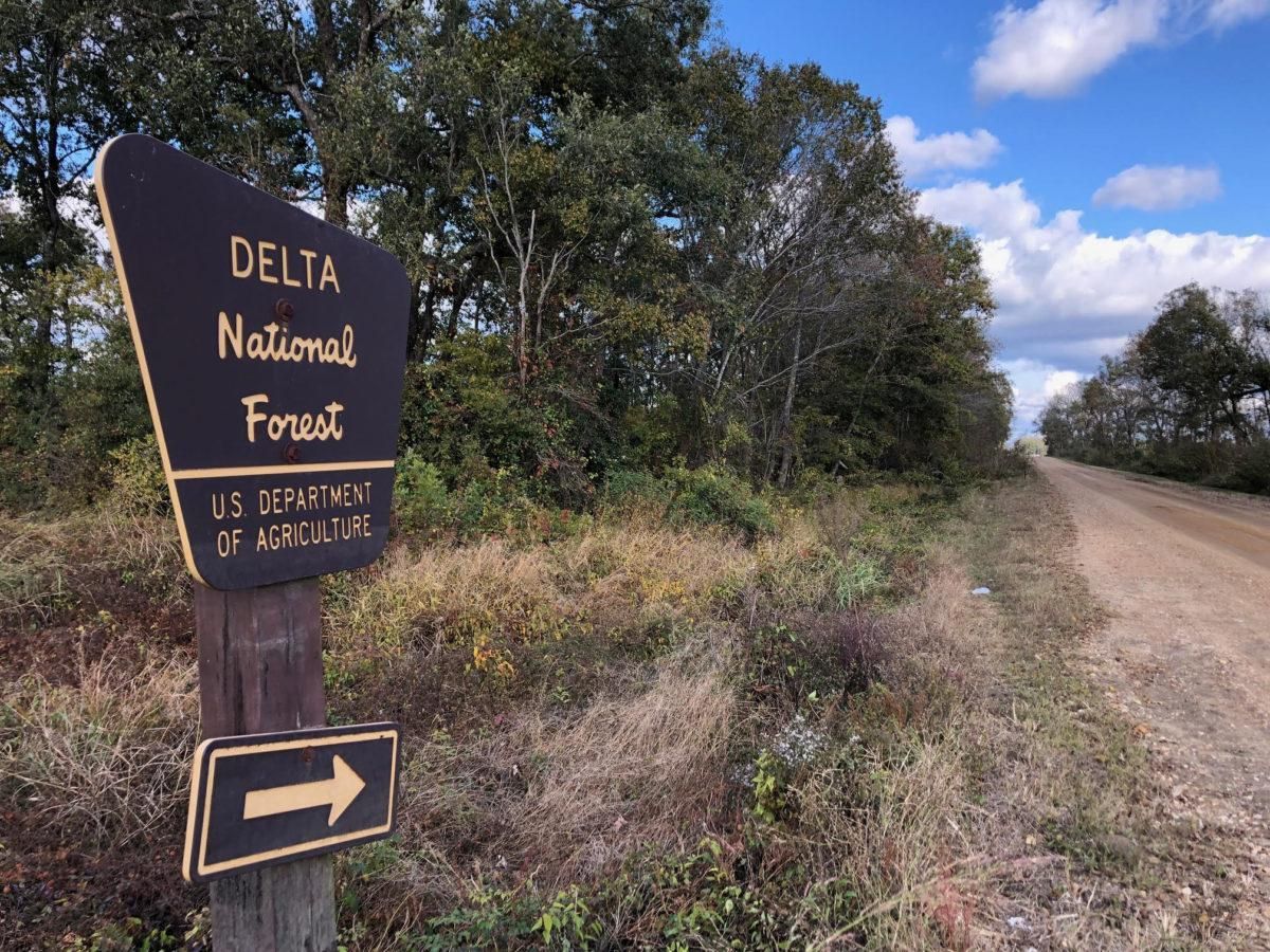 4.5 Acres, Deer Creek Farms, Sharkey County, MS Lot 2, Jackson, MS 39503 LandWatch