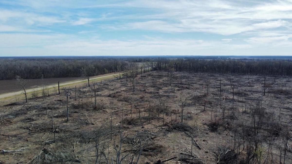 Jackson, Sharkey County, MS Farms and Ranches, Homesites for sale Property ID 415487194 LandWatch