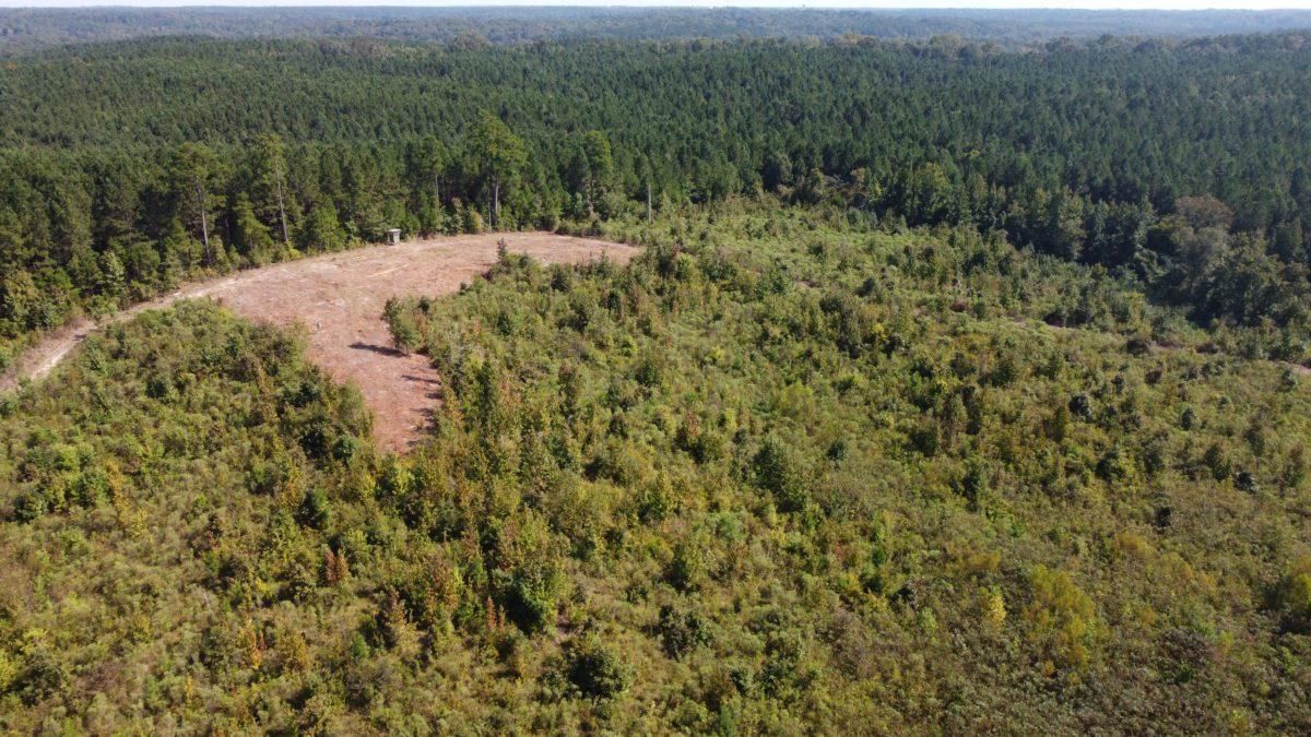 Jackson, Copiah County, MS Recreational Property, Timberland Property