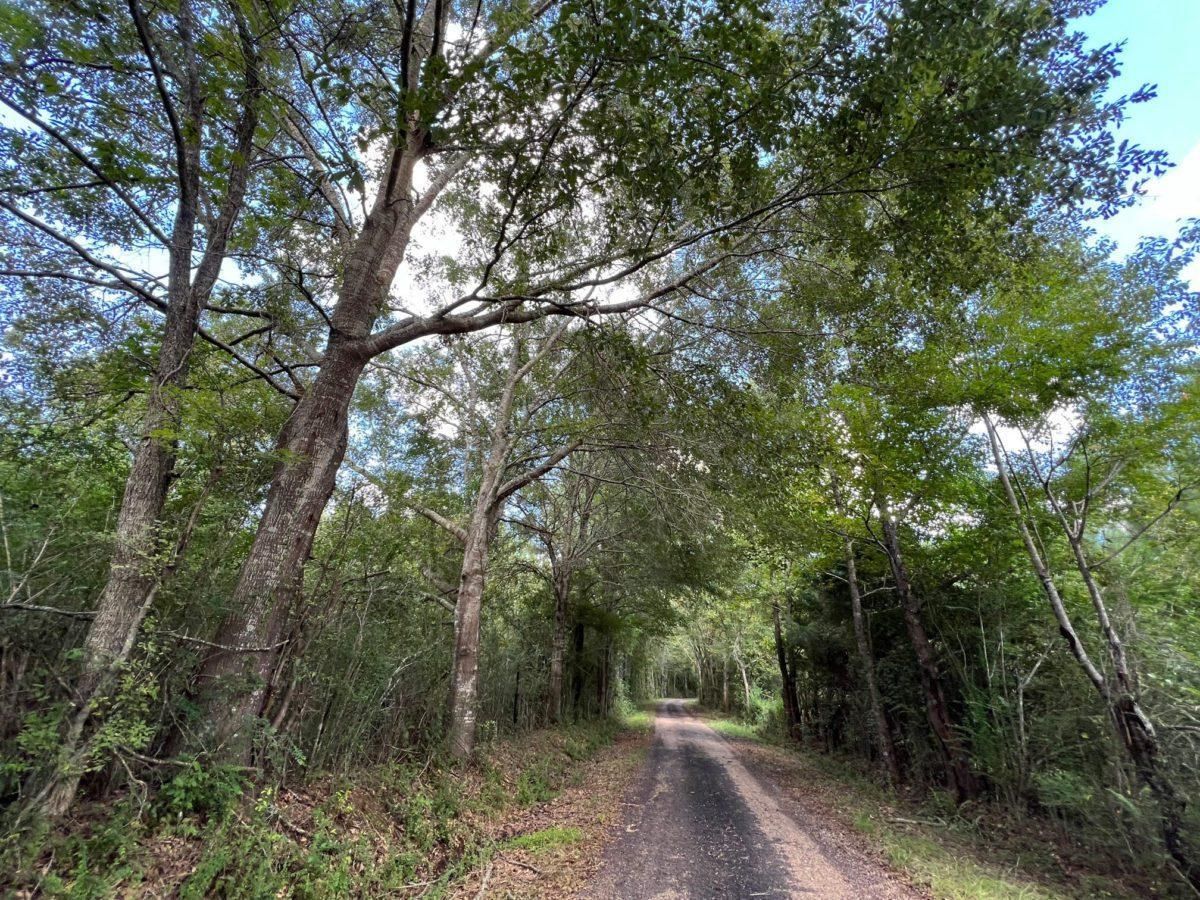 8 Acres, Copiah County, MS, Jackson, MS 39083 LandWatch
