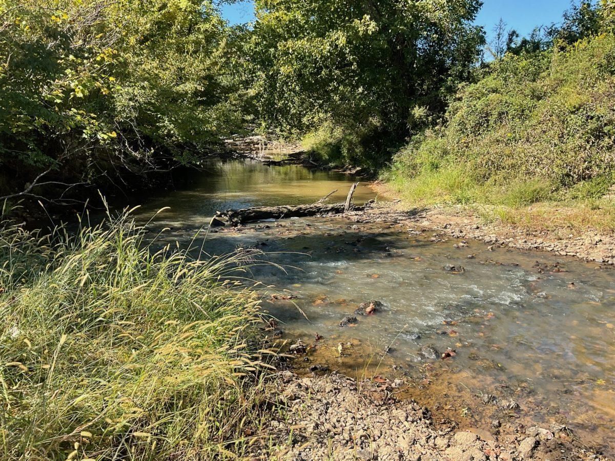 Jackson, Oktibbeha County, MS Farms and Ranches, Homesites for sale