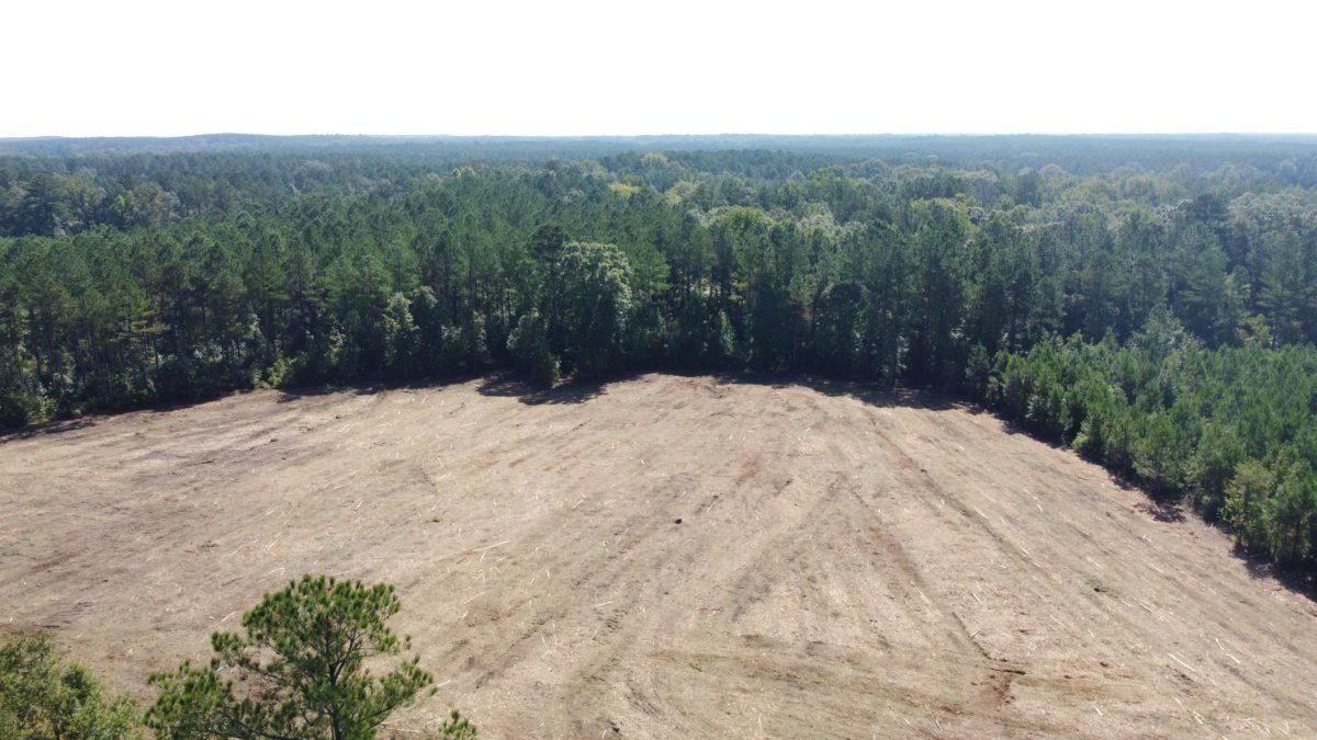 Canton, Madison County, MS Recreational Property, Timberland Property