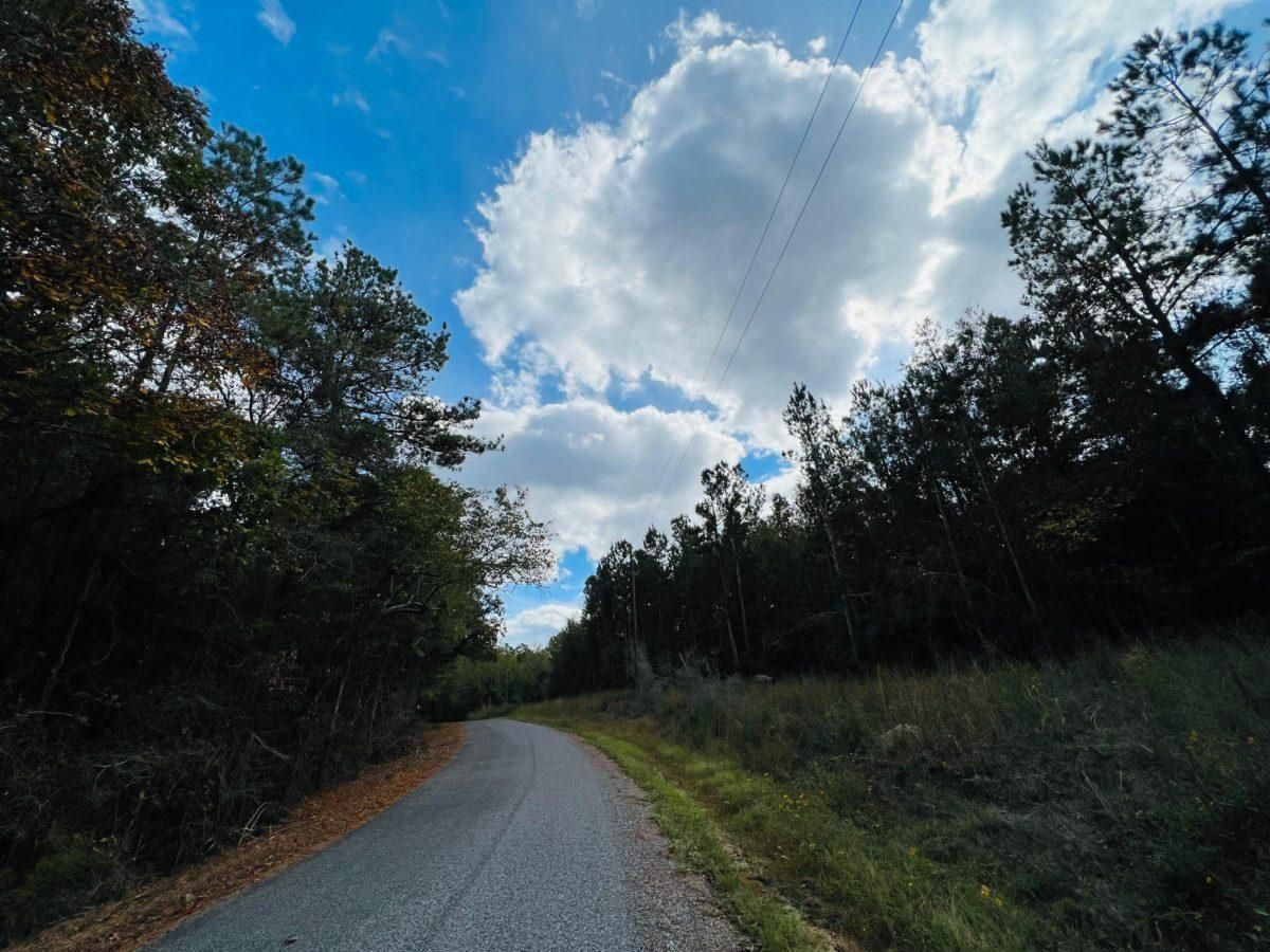 Magee, Simpson County, MS Recreational Property, Timberland Property