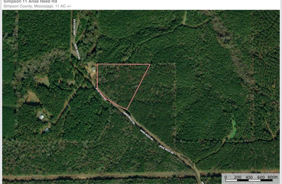 Magee, Simpson County, MS Recreational Property, Timberland Property