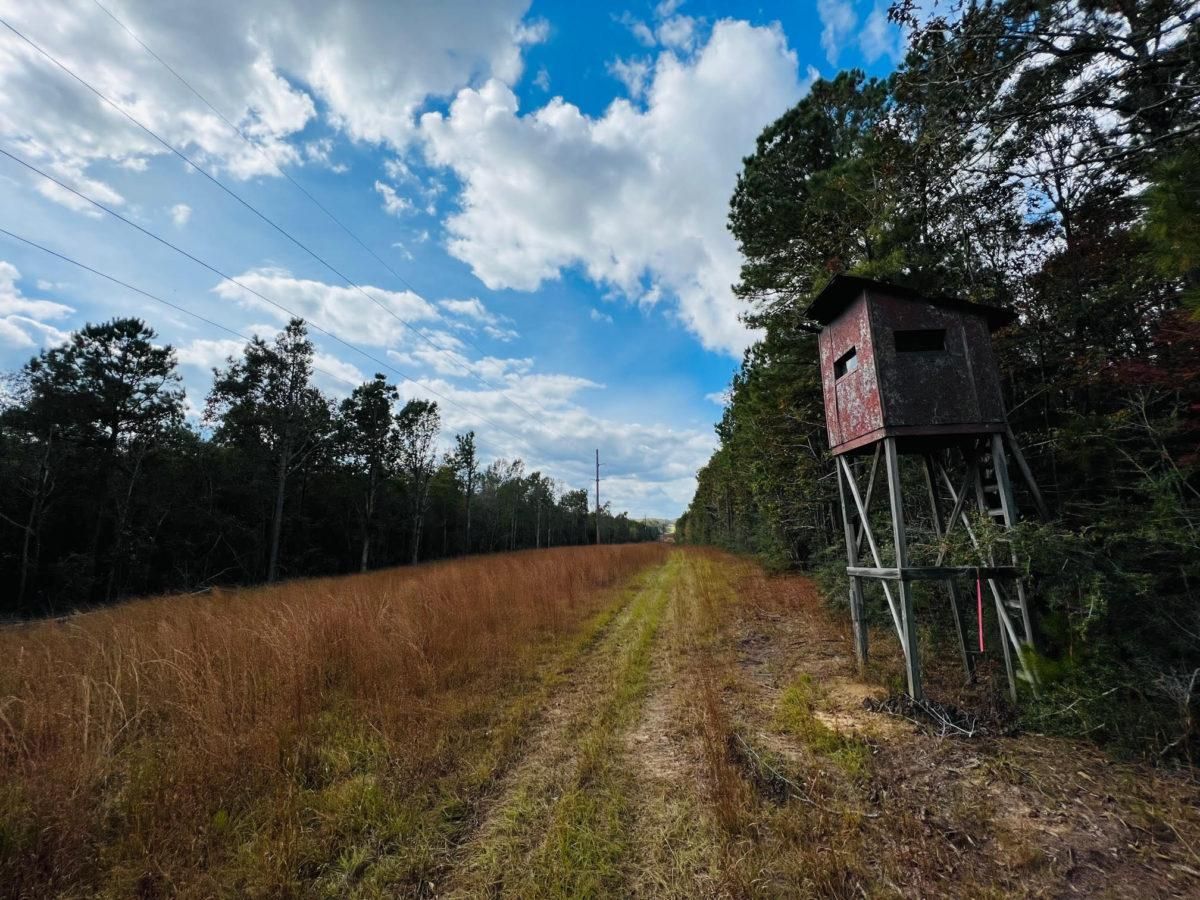 Magee, Simpson County, MS Recreational Property, Timberland Property