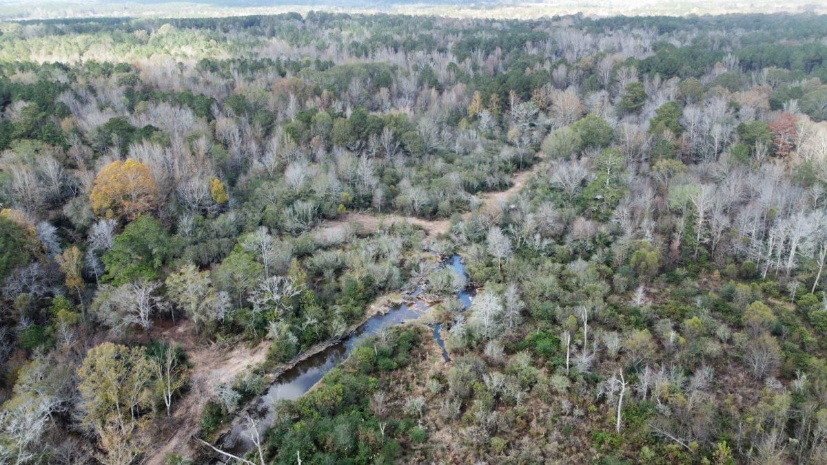 Carthage, Leake County, MS Recreational Property, Timberland Property