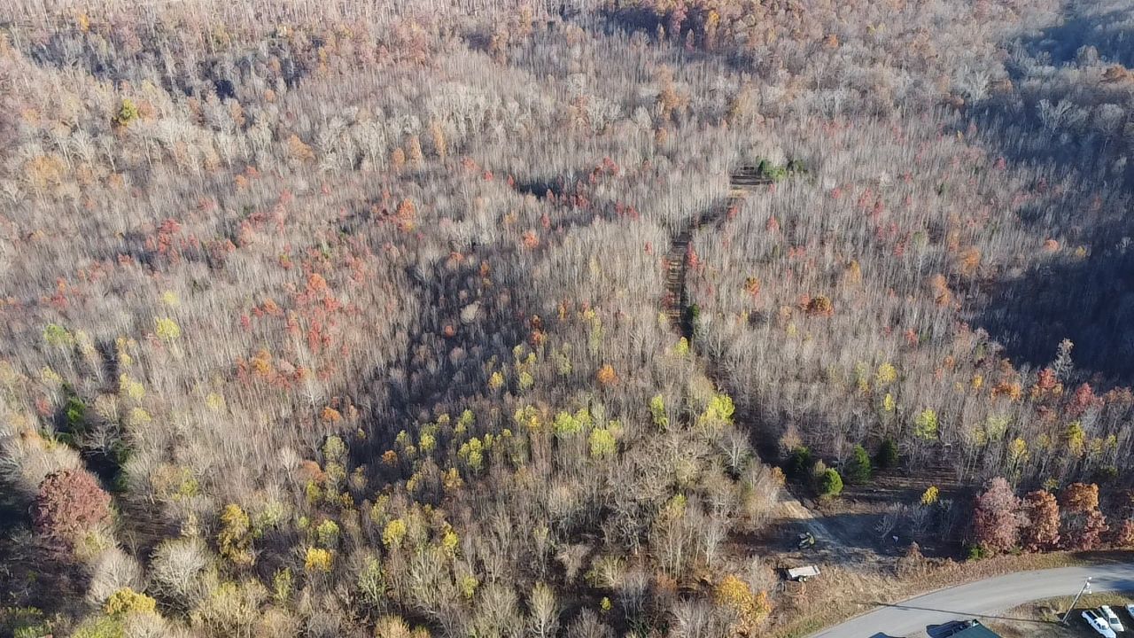 Erin, Houston County, TN Recreational Property, Timberland Property, Hunting Property for sale