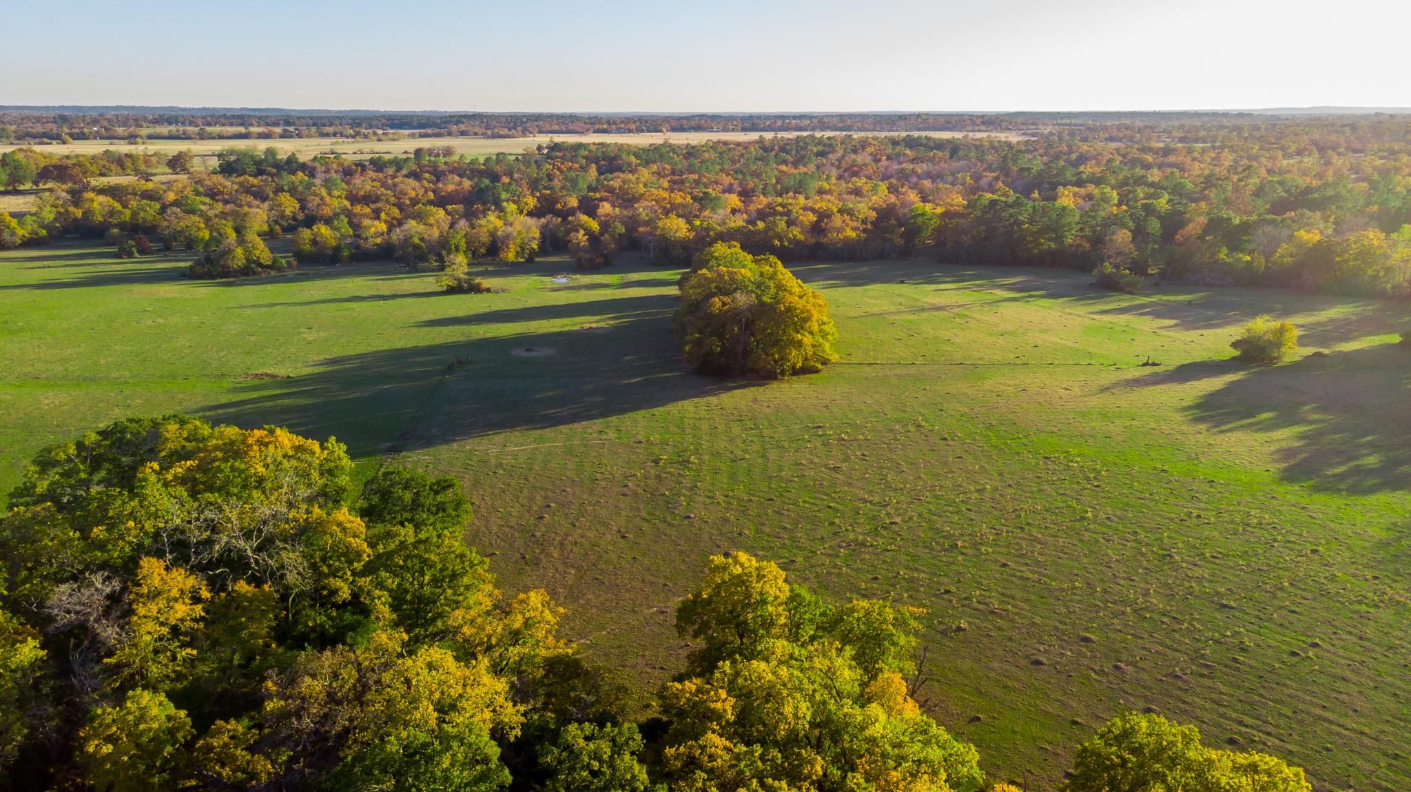 Huntsville, Walker County, TX Recreational Property, Undeveloped Land