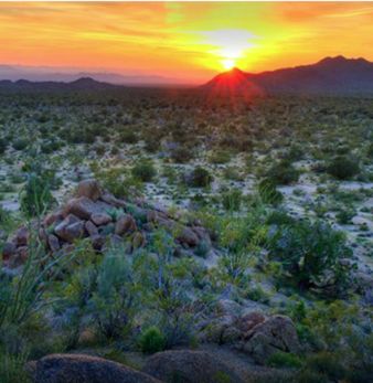 40.02 acres in Yucca, AZ, 86438 | MLS: 0433-2022-AZMOH | LandWatch