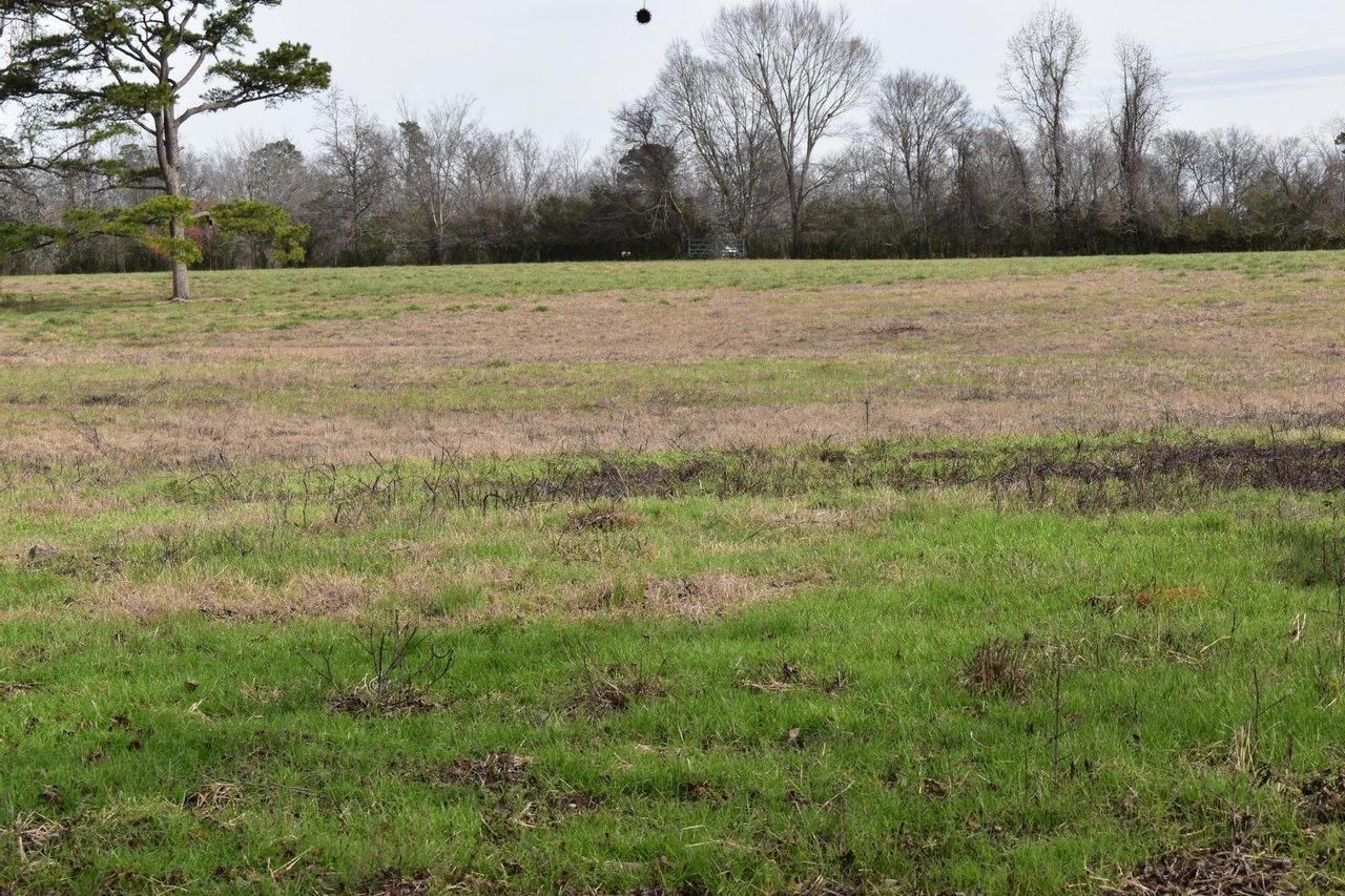 Delight, Pike County, AR Recreational Property, Hunting Property, Horse