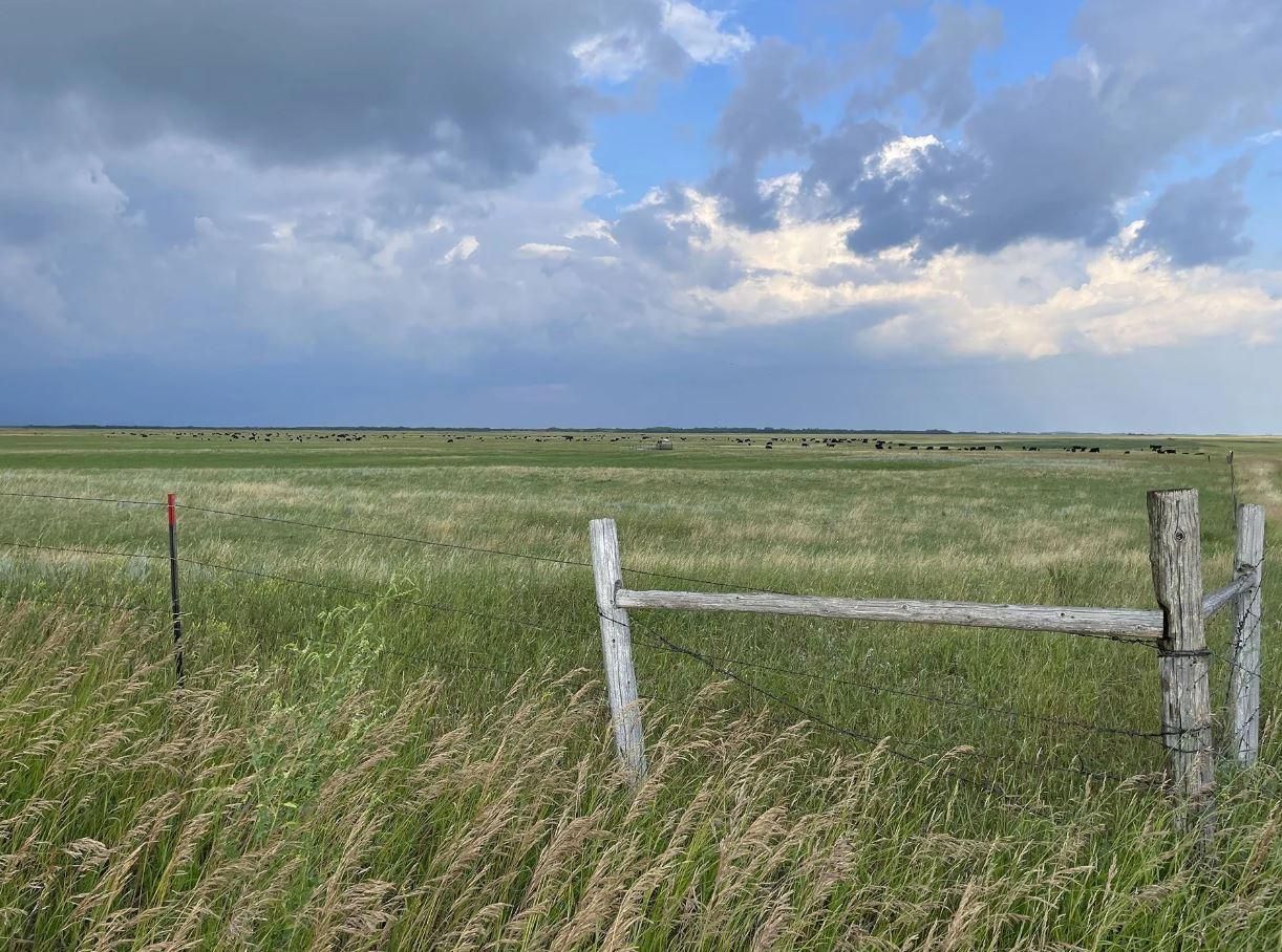 898.43 acres in Towner, ND, 58788 LandWatch